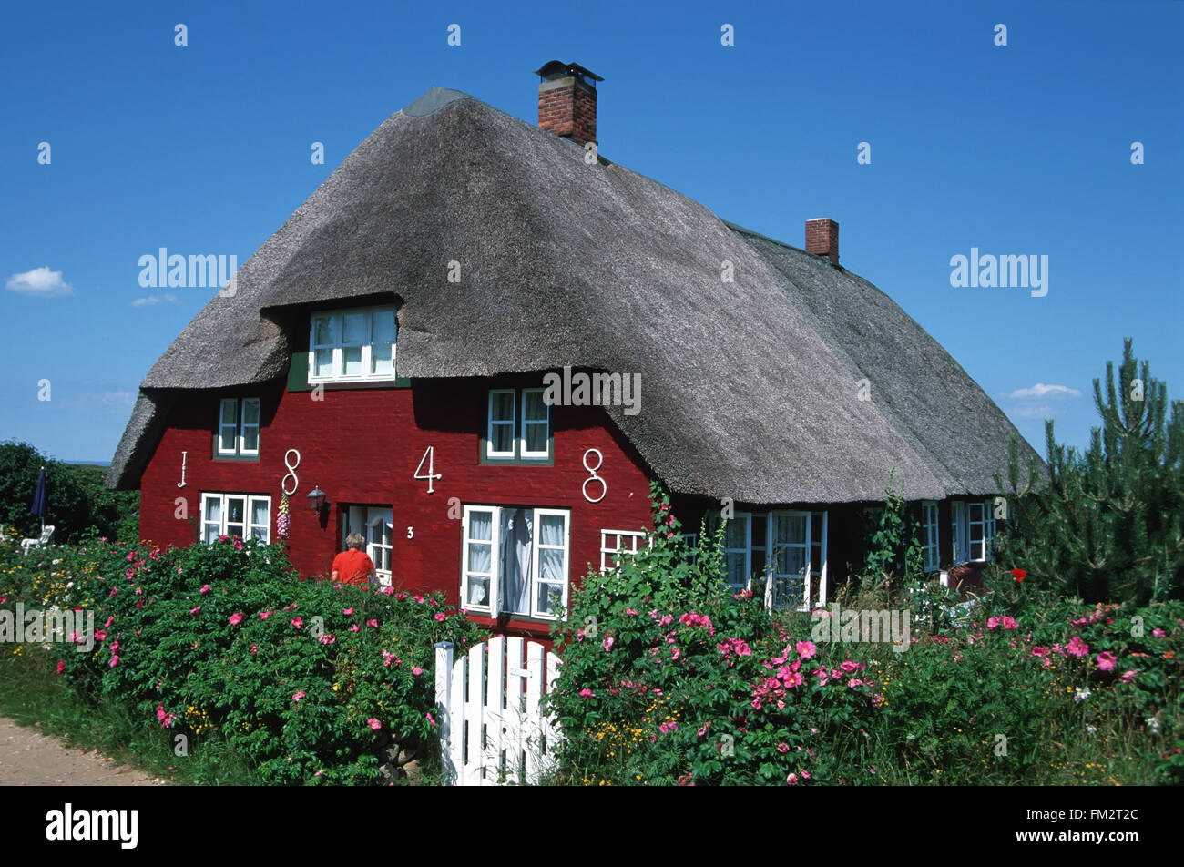 Nebel, traditionellen strohgedeckten friesische Haus, Insel Amrum, Nordsee, Schleswig-Holstein, Deutschland, Europa Stockfoto