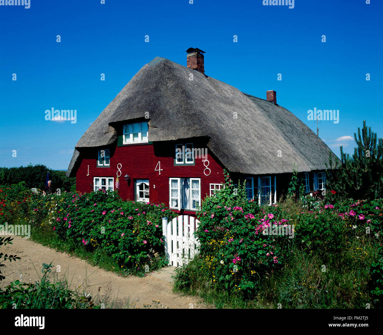 Nebel, traditionellen strohgedeckten friesische Haus, Insel Amrum, Nordsee, Schleswig-Holstein, Deutschland, Europa Stockfoto