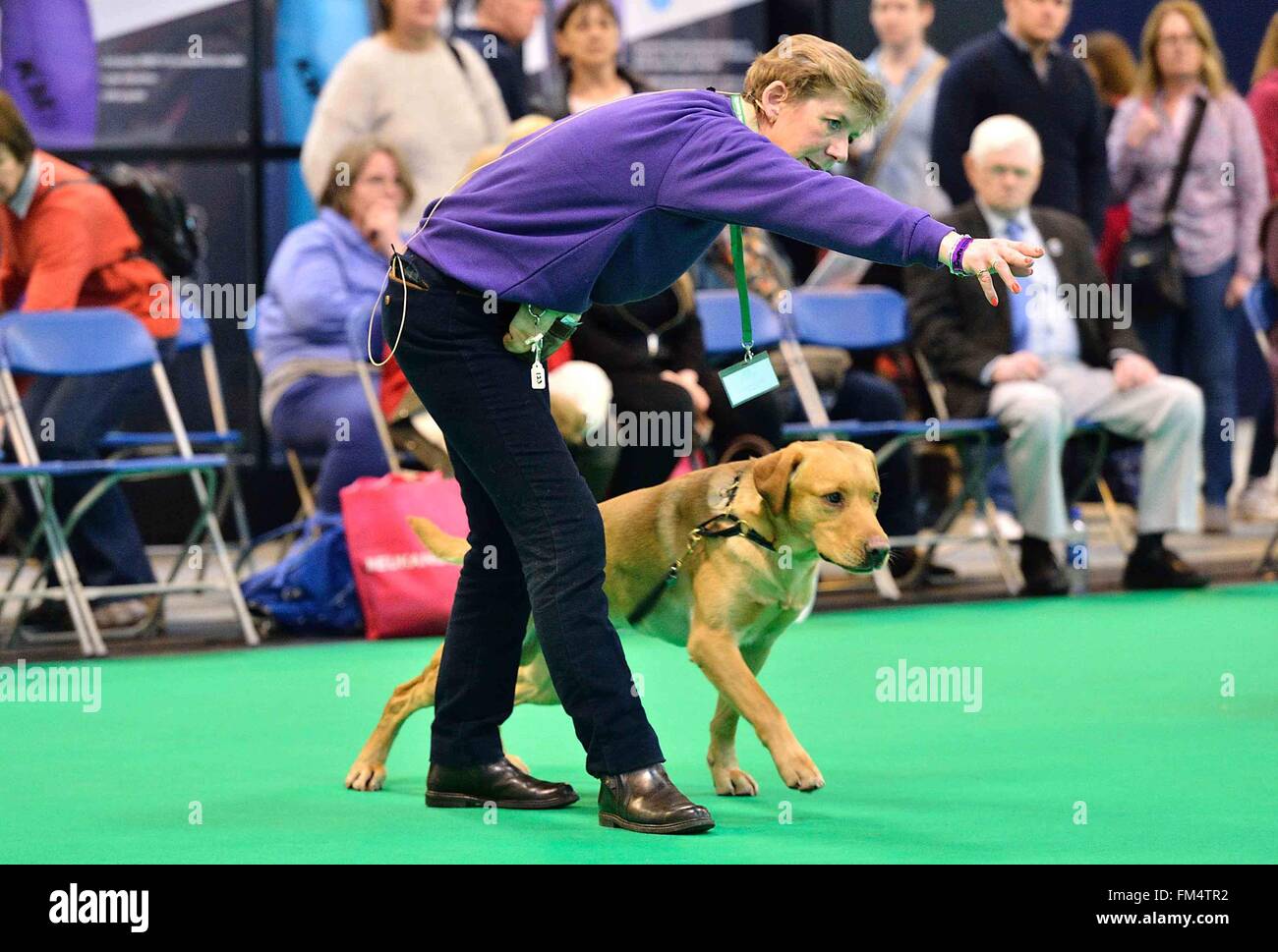 Birmingham, Großbritannien. 10. März 2016. Ein Hundeführer ist während einer Gehorsam-Klasse bei der Crufts Dog Show in Birmingham, Großbritannien, 10. März 2016 mit einem Hund auf dem Boden zeigen. Die jährliche viertägige Veranstaltung, eröffnet am Donnerstag, ist eines der größten in der Welt. Bildnachweis: Ray Tang/Xinhua/Alamy Live-Nachrichten Stockfoto