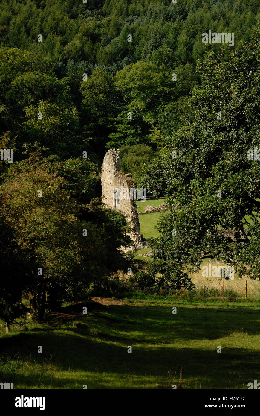 Kirkham Priory, North Yorkshire Stockfoto