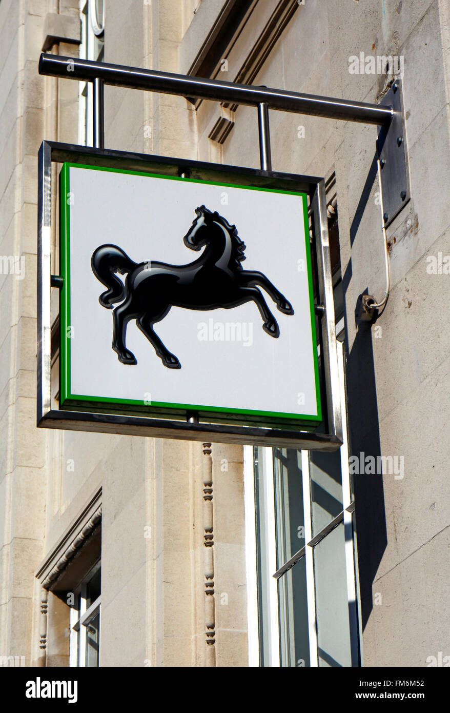 LLoyds Bank tänzelnden Pferd Zeichen im Zentrum Stadt in Norwich, Norfolk, England, Vereinigtes Königreich. Stockfoto