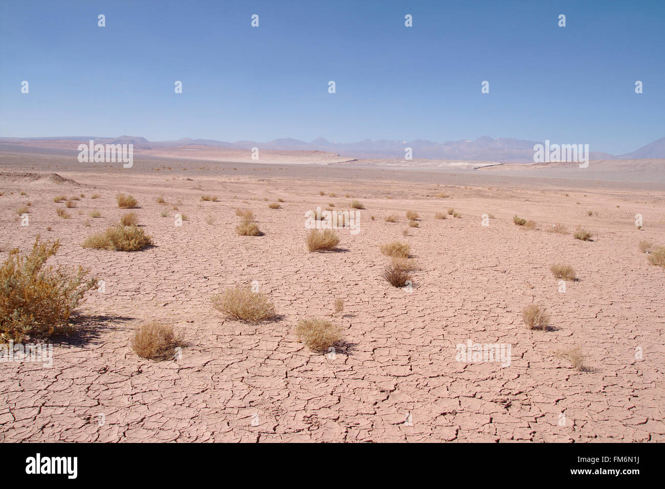 Schwundrissen in der Atacama-Wüste in der Nähe von Valle De La Luna, Chile Stockfoto