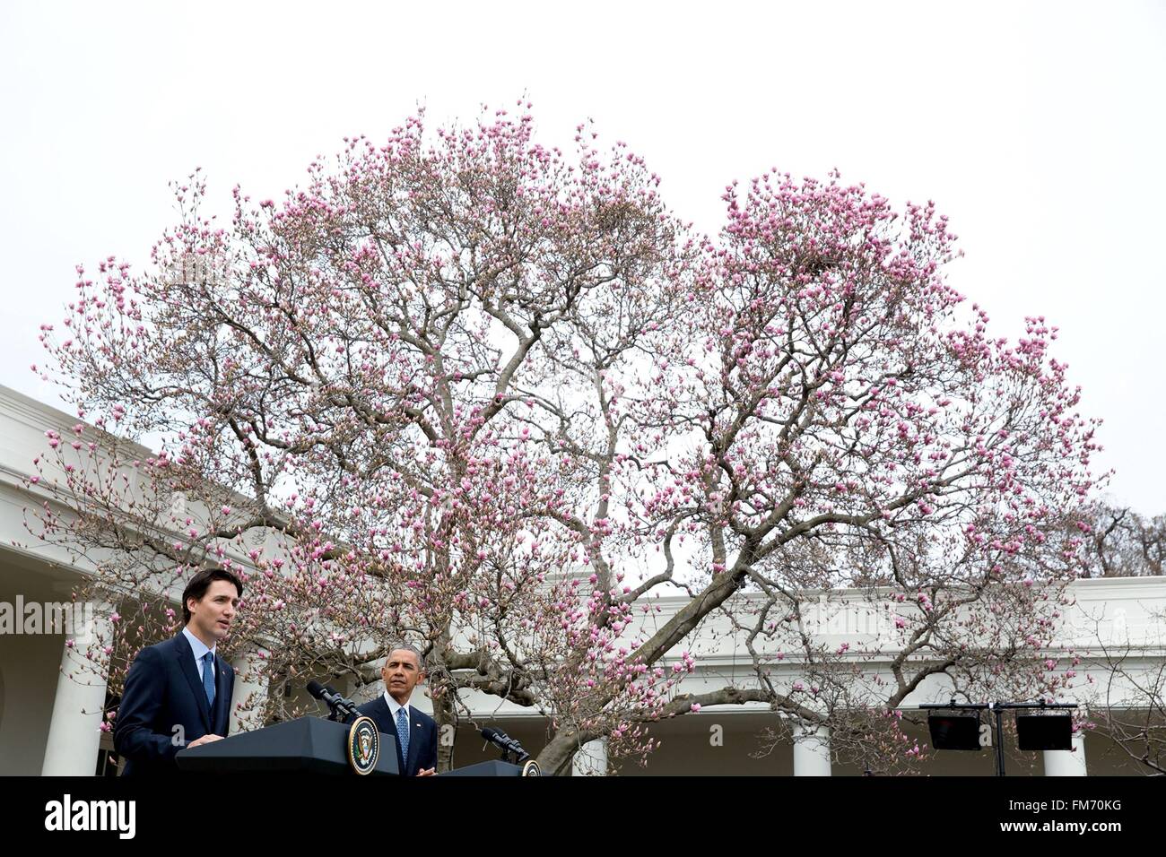 US-Präsident Barack Obama hört der kanadische Premierminister Justin Trudeau Antwort eine Frage während einer gemeinsamen Pressekonferenz im Weißen Haus 10. März 2016 in Washington, DC. Dies ist der erste Staatsbesuch eines kanadischen Premierministers in 20 Jahren. Stockfoto