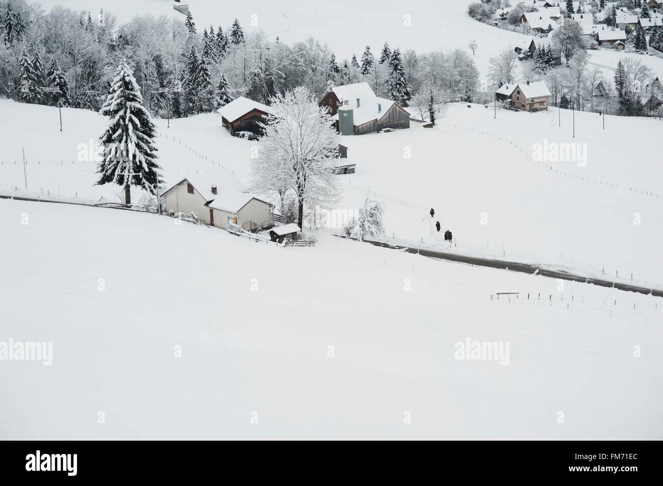 Schweizer, Appenzeller, Urnäsch, Silvesterchlausen (New Year Eve Spirits), die Klause Gruppen Pass der Weiler in Weiler Stockfoto