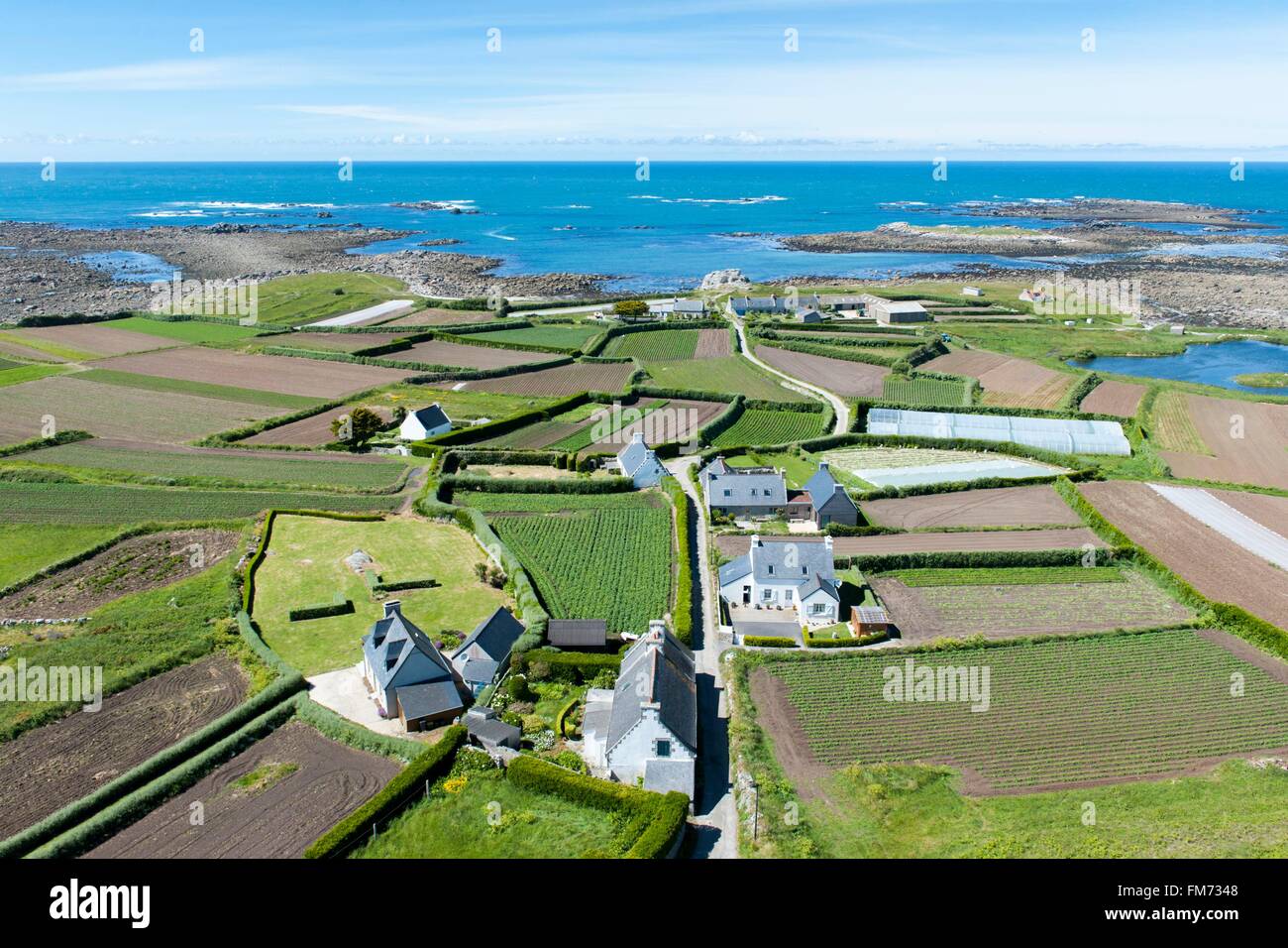 Frankreich, Finistere, Ponant Inseln, Insel Batz, Blick auf die Insel vom Leuchtturm, Gartenbau-Kartoffeln Stockfoto
