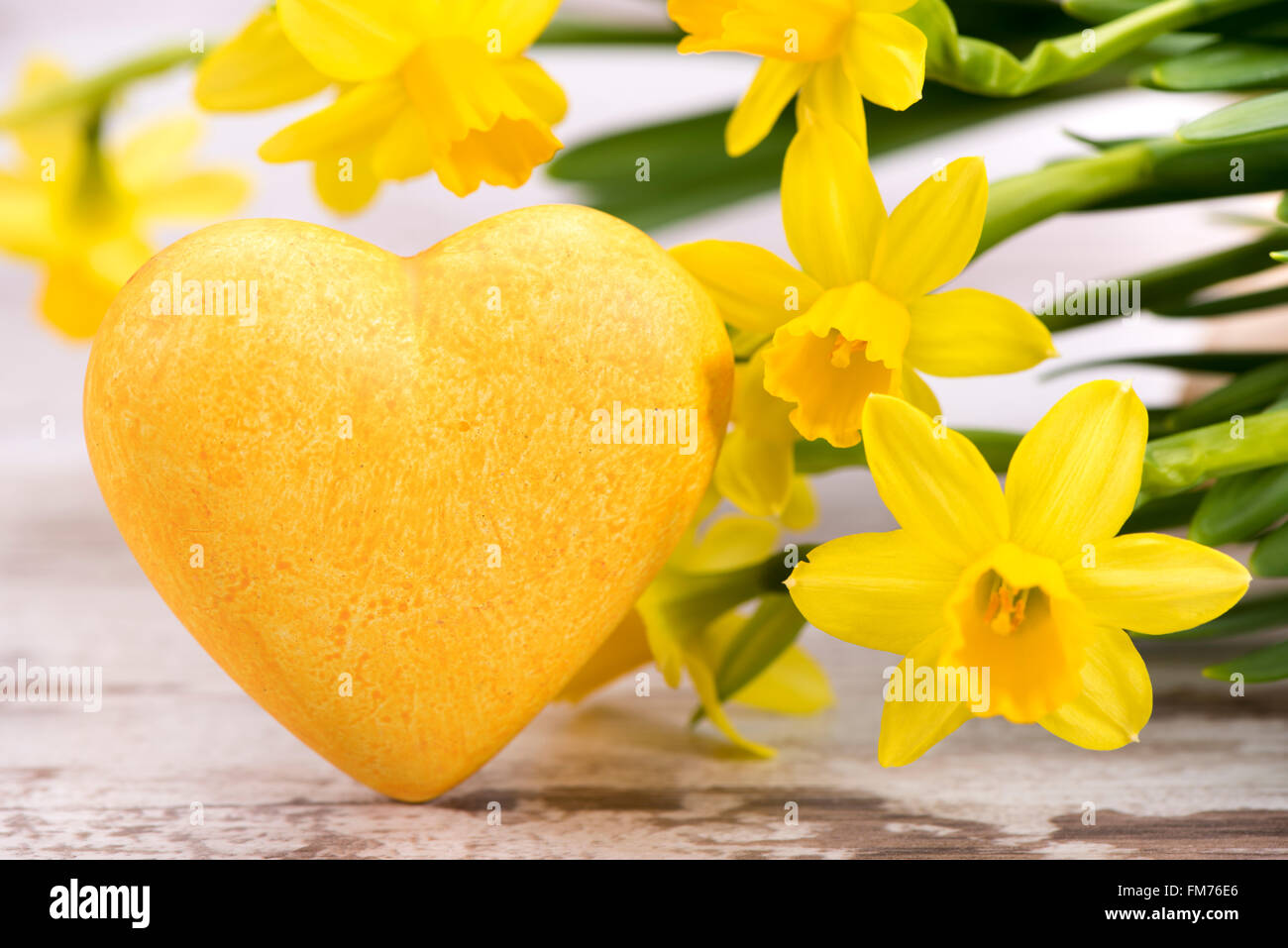 Blumenstrauß Tulpe mit Herz als Geschenk und Symbol für die Liebe Stockfoto