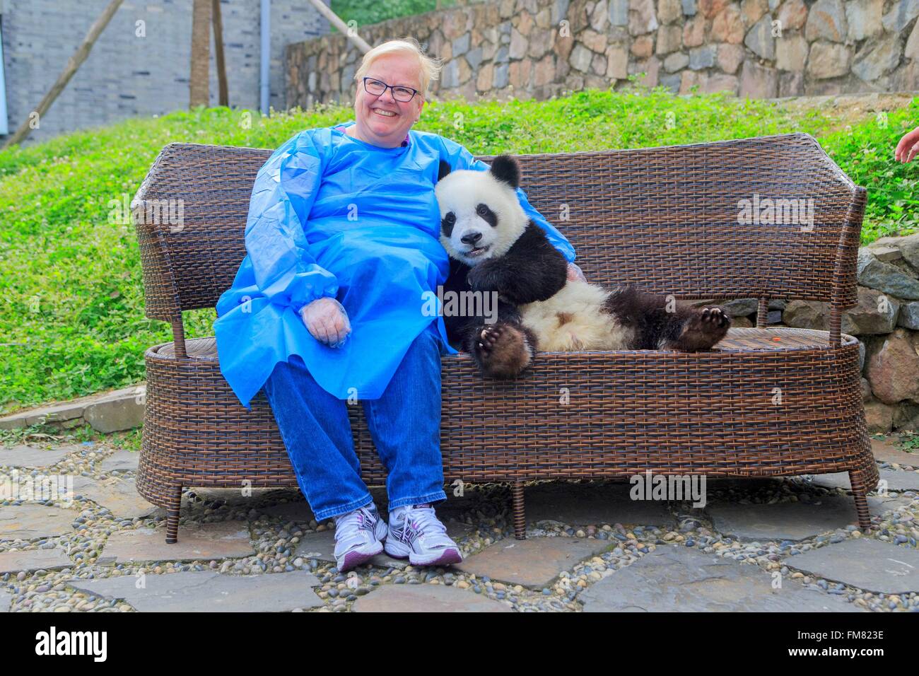 China, Provinz Sichuan, Chengdu, Panda Forschungs- und Aufzuchtstation oder Chengdu Panda, Panda (Ailuropoda lalage), Captive, Foto Souvenir mit touristischen Stockfoto