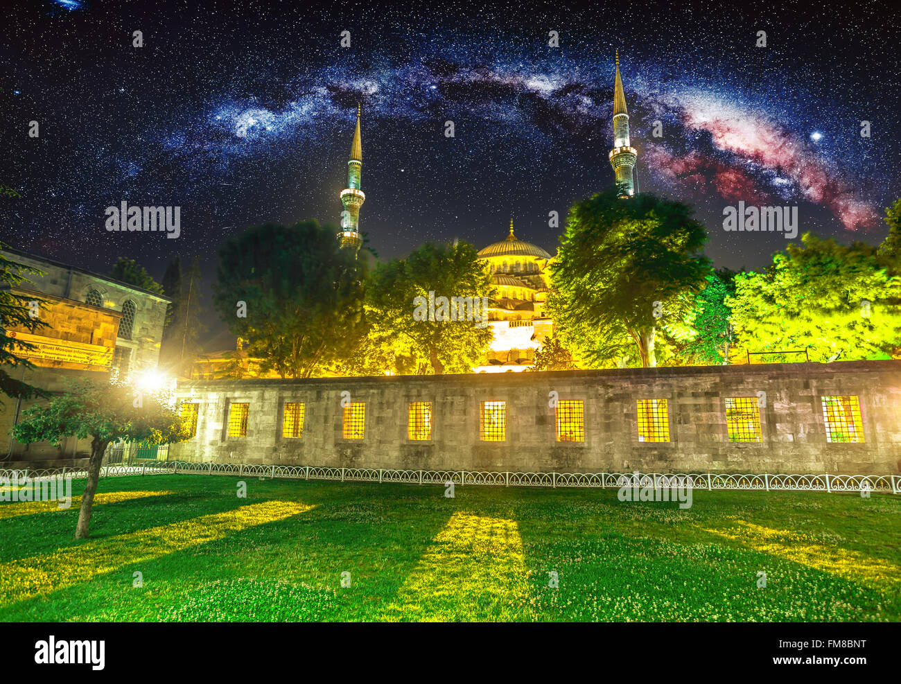 Neue Moschee, Istanbul Stockfoto