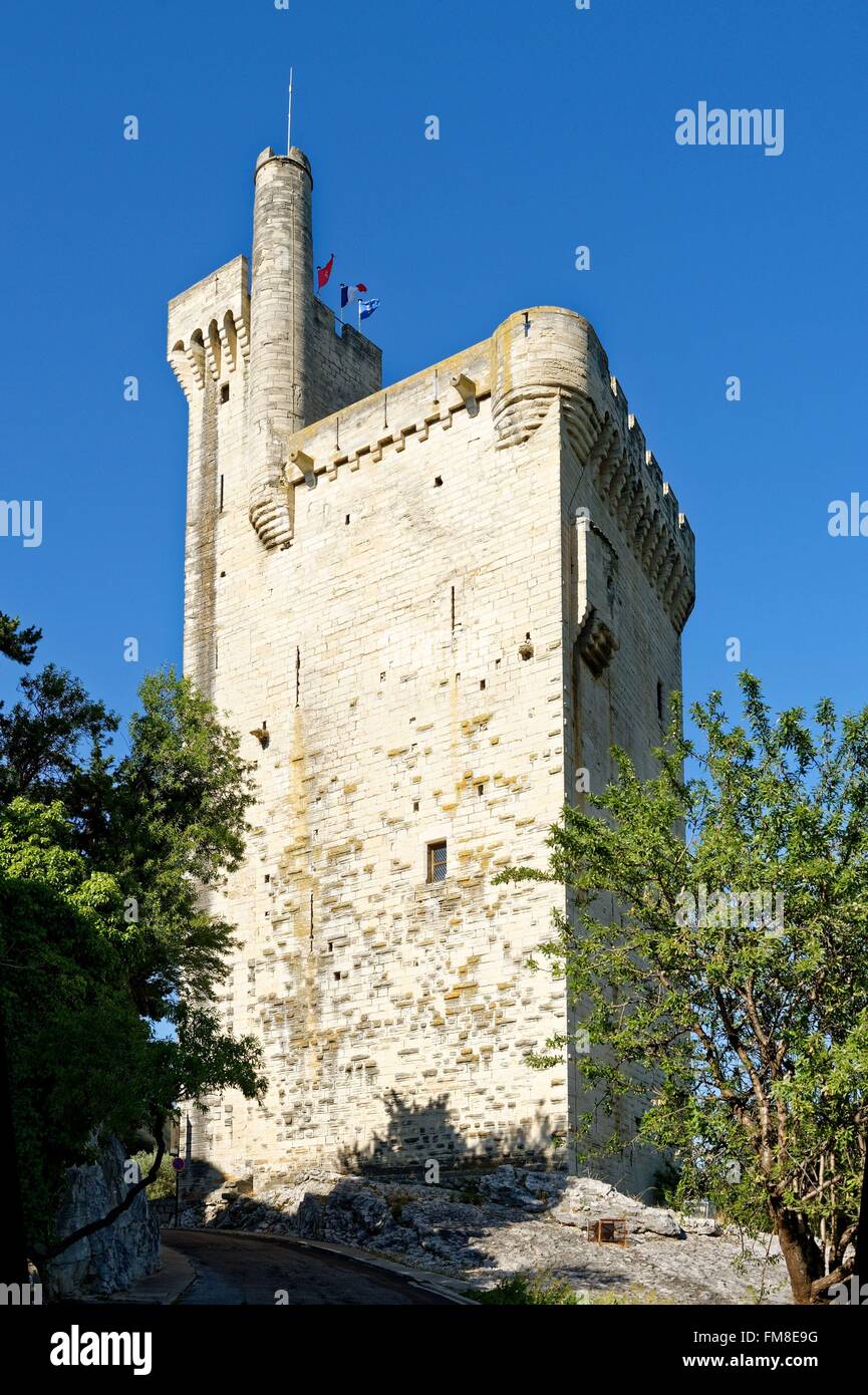 Frankreich, Gard, Villeneuve Les Avignon, Philippe Le Bel Tower Stockfoto