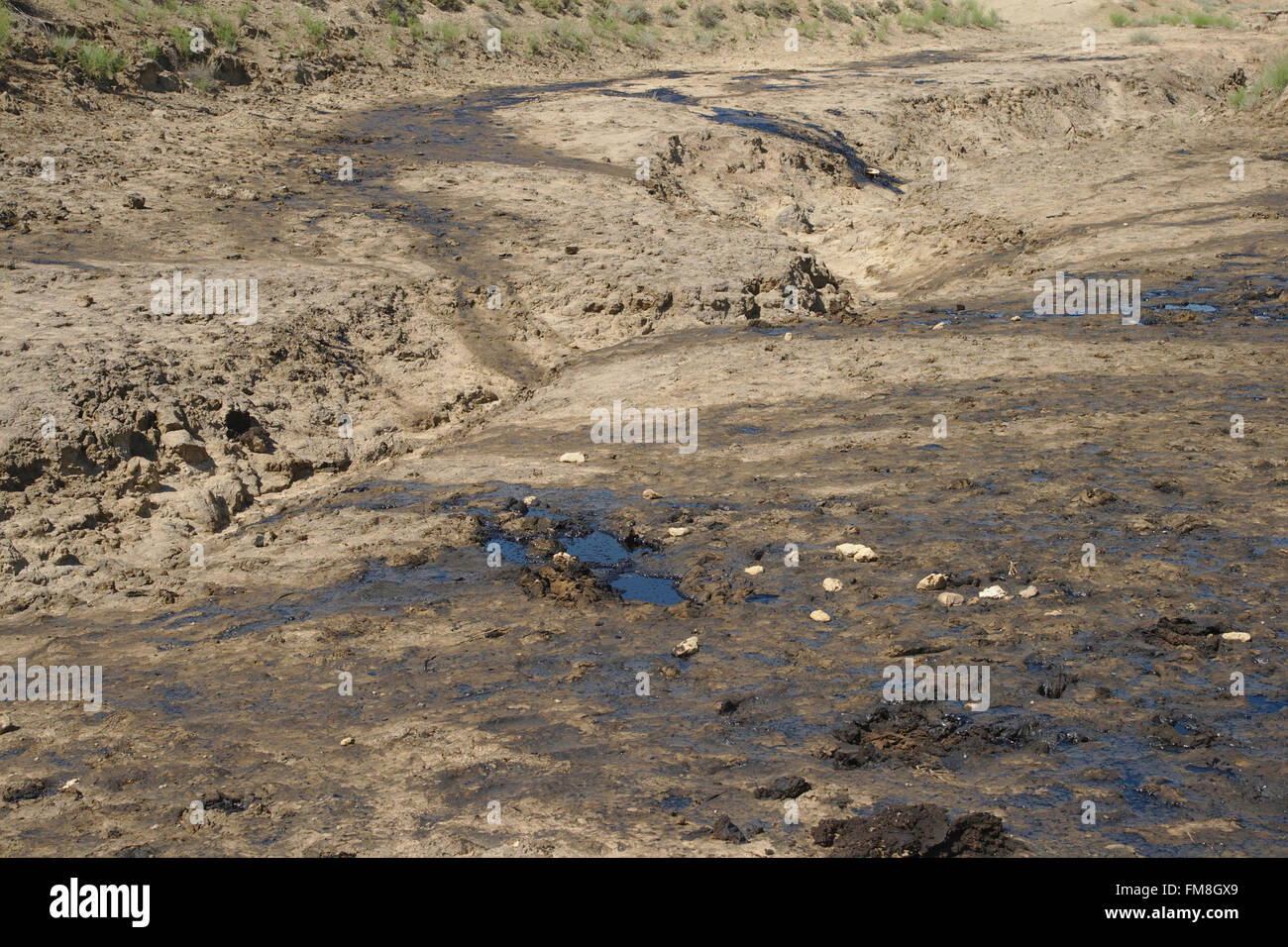 Öl-Versickerung auf ein Schlammvulkan, Qubustan, Aserbaidschan Stockfoto