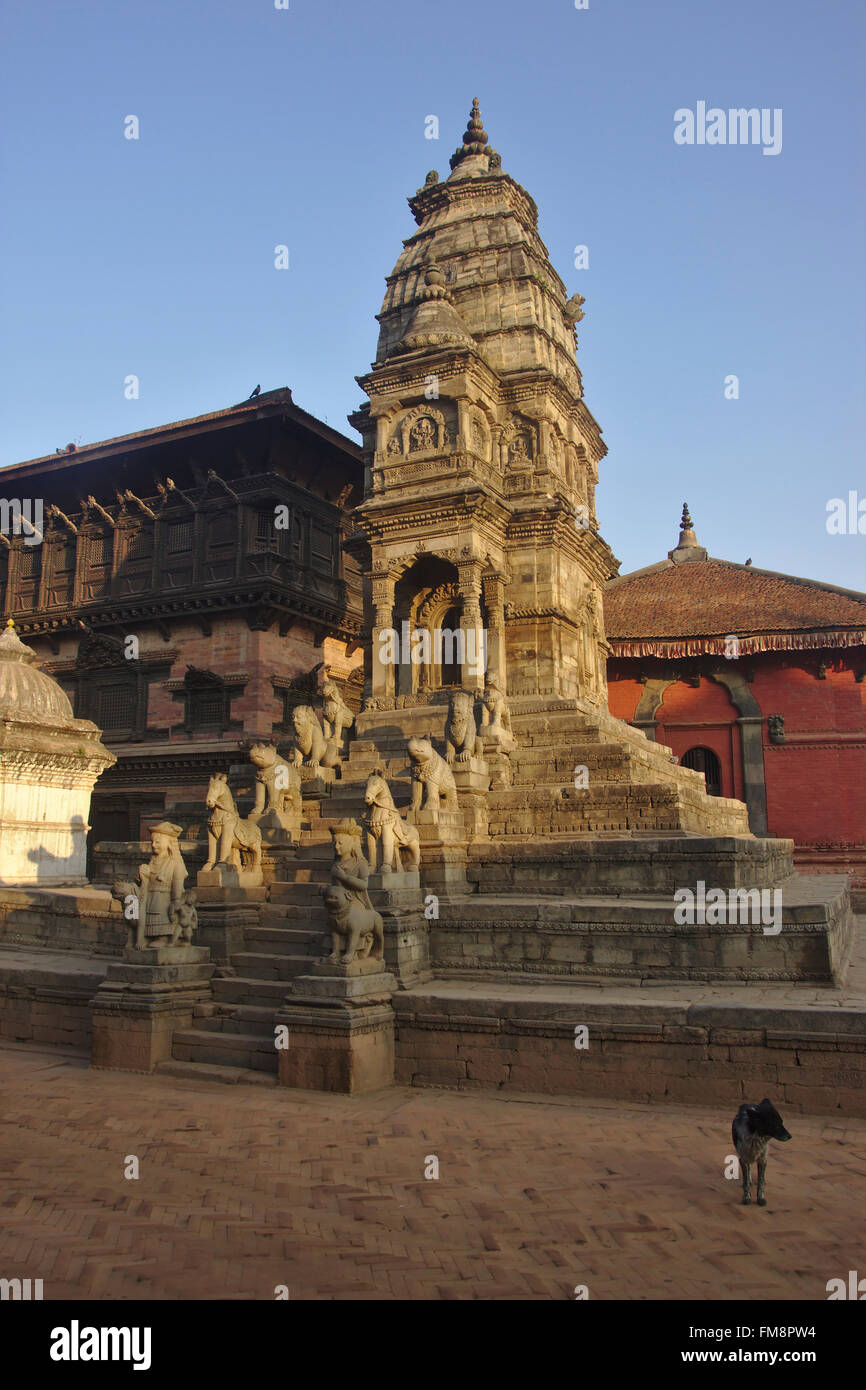Hund vor Siddhi Lakshmi Tempel, Durbar Square, Bhaktapur, Nepal Stockfoto