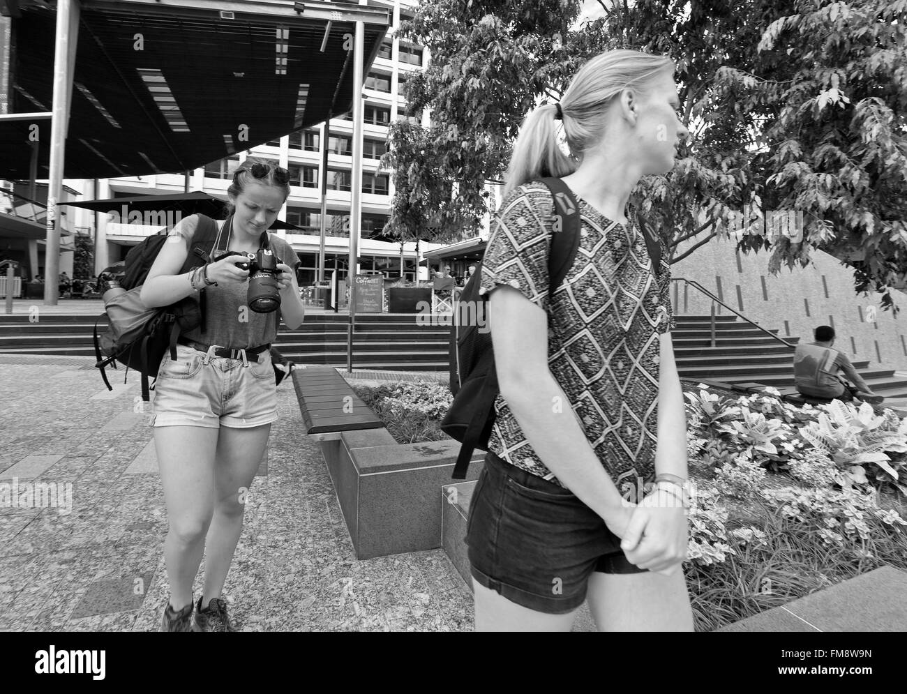 Nahaufnahme eines attraktiven Rucksacktouristen in kurzen Hosen in ihrer Kamera im King George Square, Brisbane, Queensland Australien Stockfoto