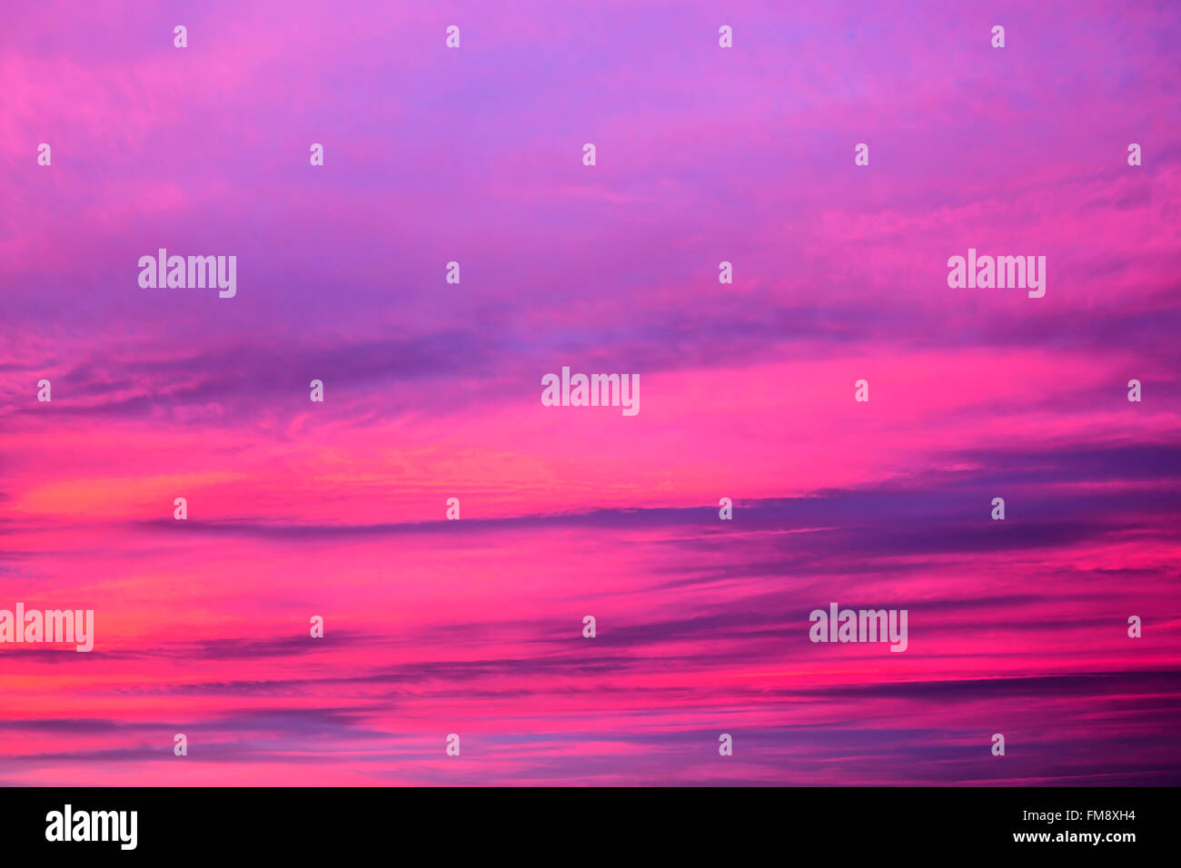Lila Sonnenuntergang, mit sehr lebendigen Farben am Himmel. Stockfoto