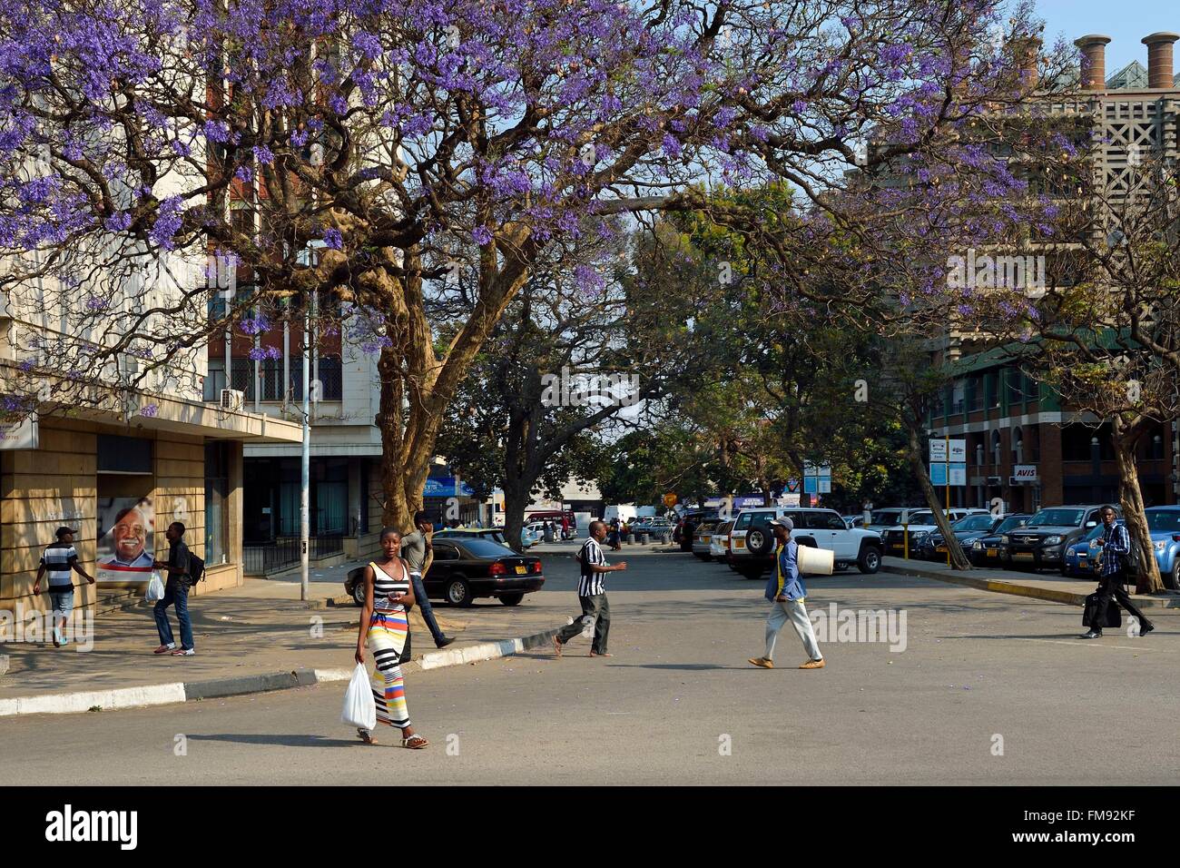 Harare, Simbabwe Straßenszene im Zentrum Stadt Stockfoto
