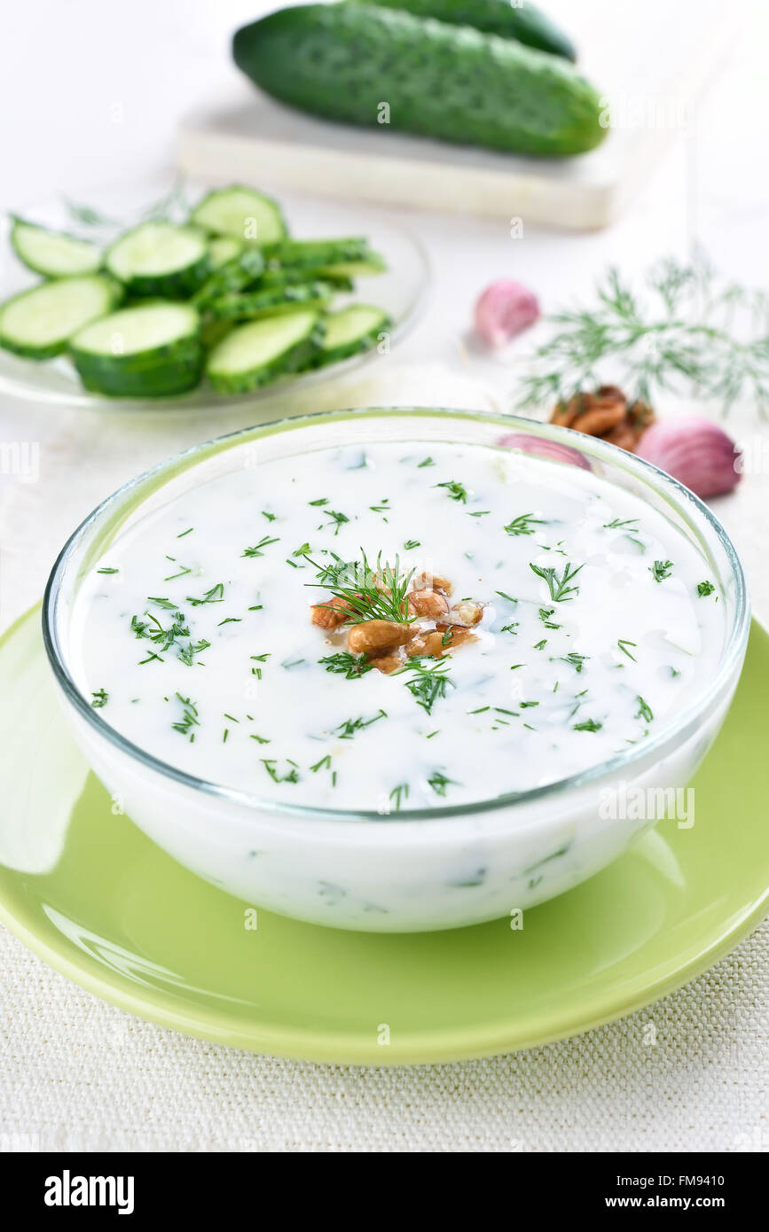 Sommer-Suppe mit Joghurt, Gurken, Dill und Walnuss Stockfoto