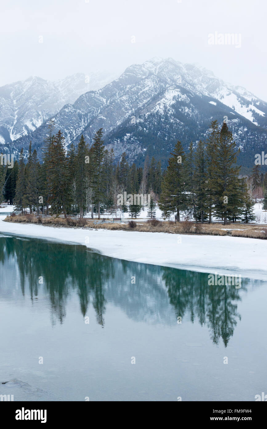 Eine Winterlandschaft im bewölkten Bedingungen am Bow River in den Rocky Mountains in Banff, Kanada im Winter mit Schnee Stockfoto