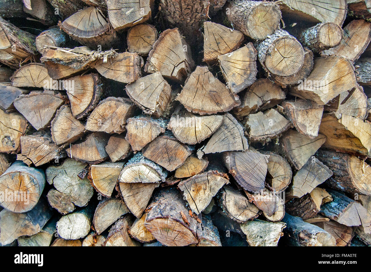 Holzschnitt auf dem Betriebshof des Protokolls und zum Verkauf bereit. Stockfoto