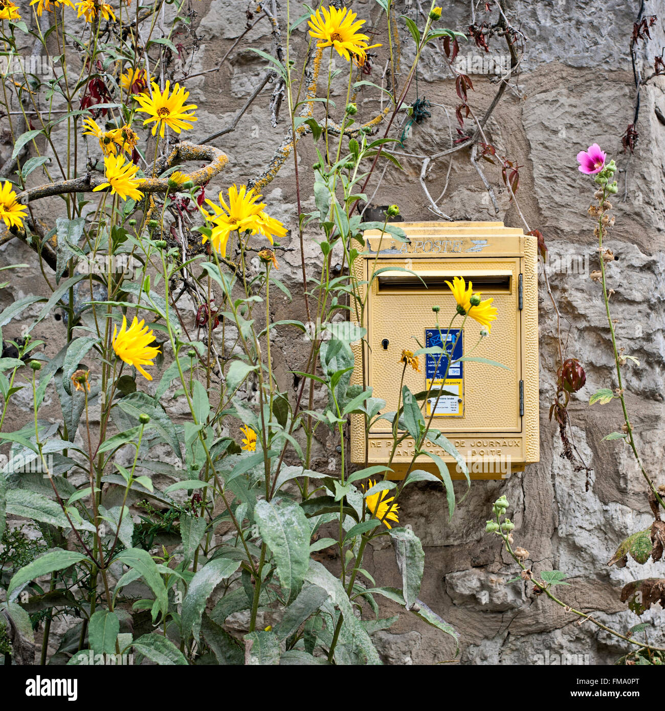 Gelbe französischer Briefkasten, umgeben von Blumen in Giverny, Frankreich Stockfoto