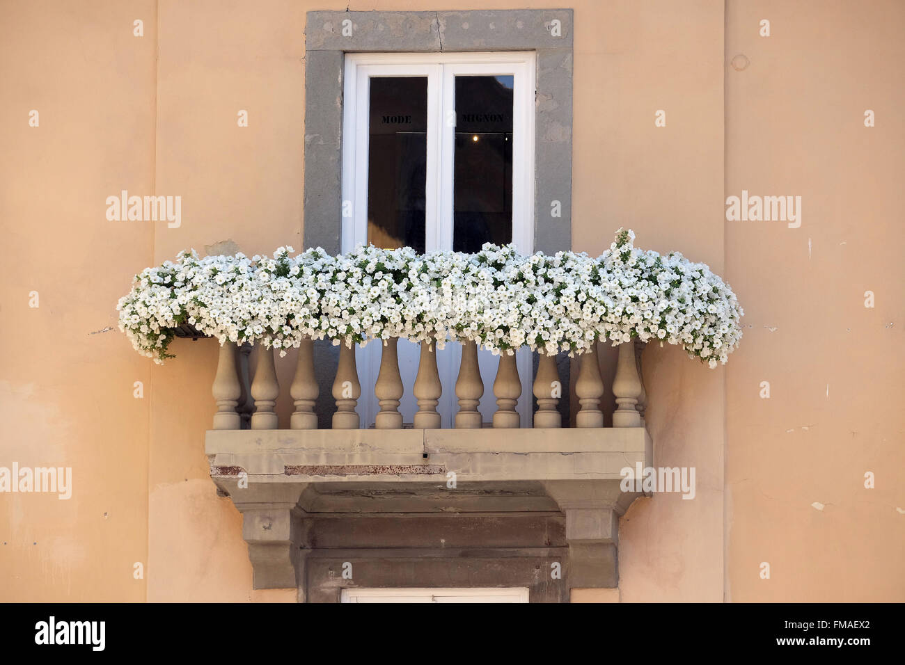 Altes Haus mit Blumen auf Balkon in Lucca, Italien, am 6. Juni 2015 Stockfoto