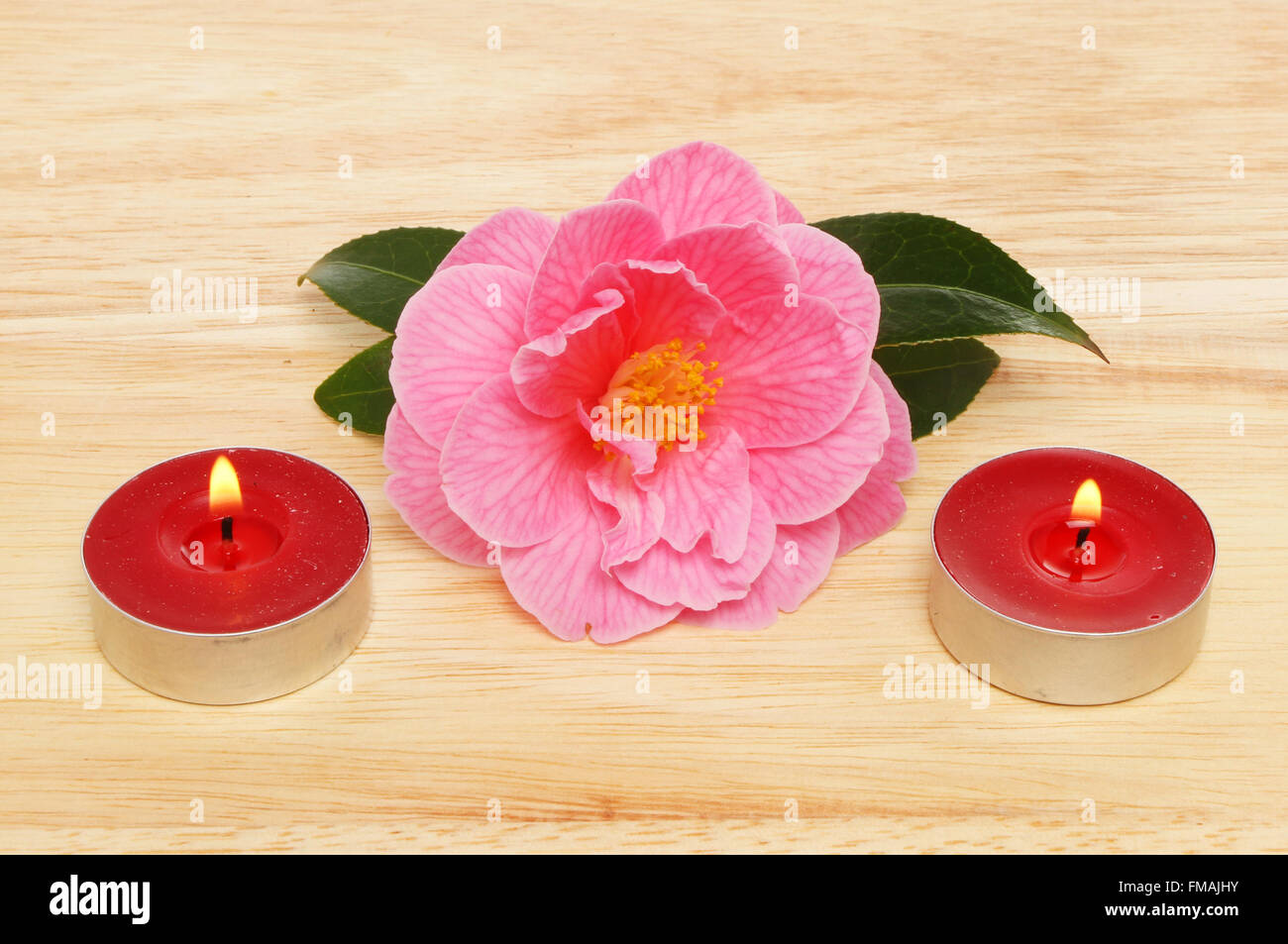 Magenta Kamelie mit zwei brennenden roten Kerzen auf einem Holzbrett Stockfoto