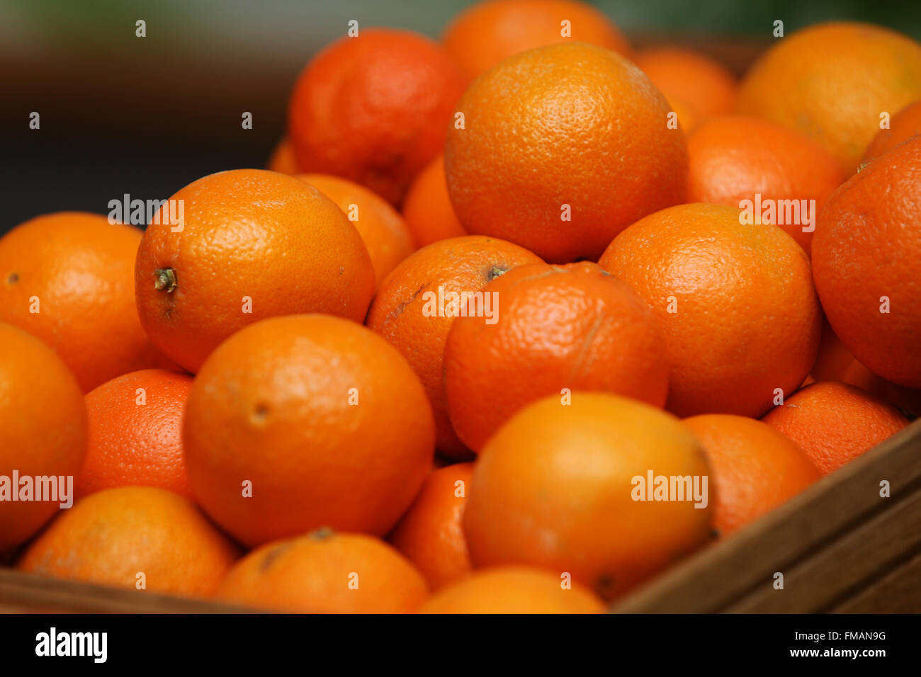 Orangen auf dem Display in einer Schule-Café in Brighton, East Sussex, UK. Stockfoto