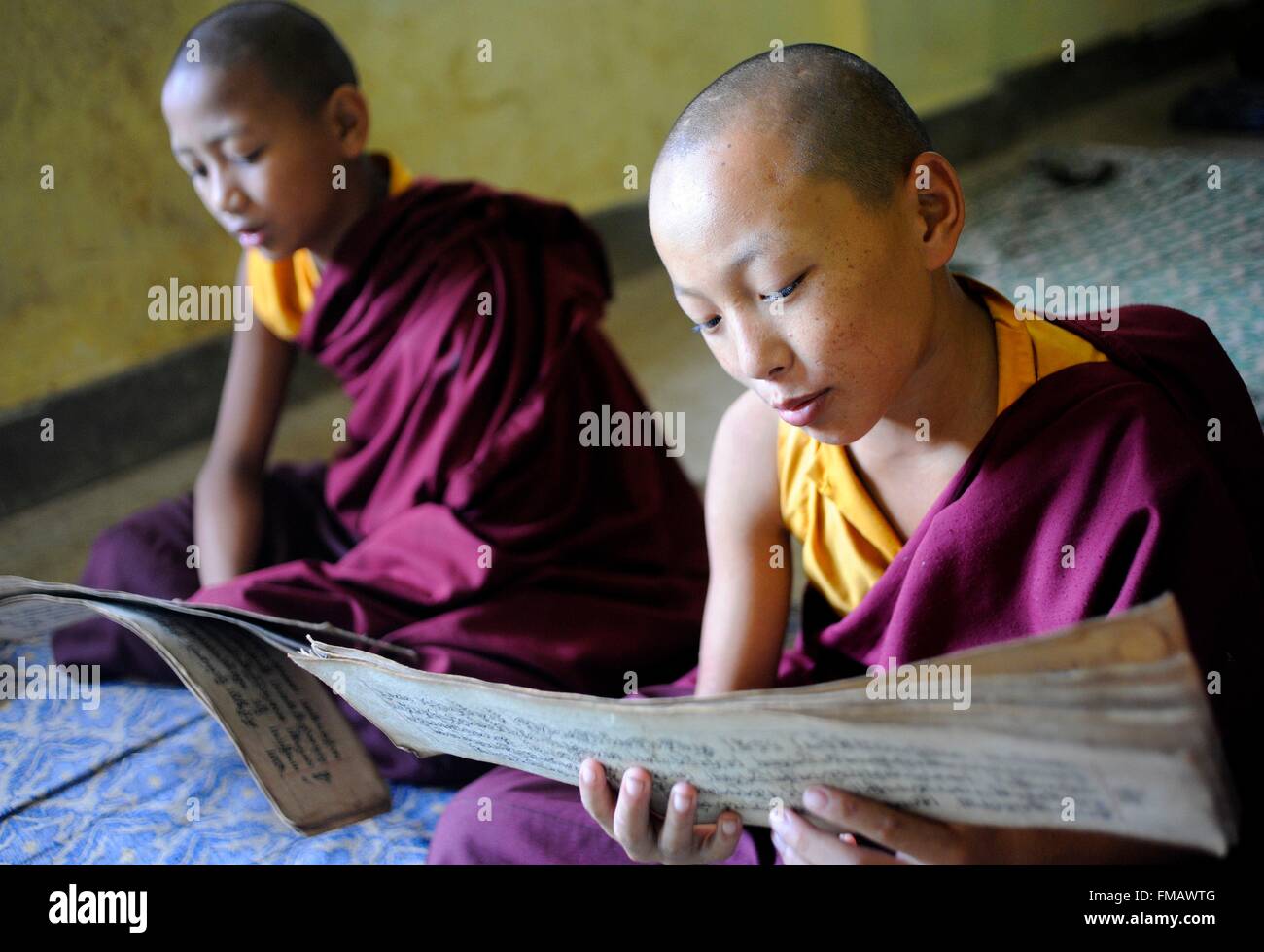 Indien, Odisha, Chandragiri, junge Mönche zu studieren Stockfoto