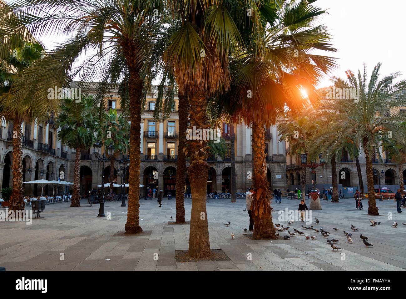Spanien, Katalonien, Barcelona, Placa Reial Stockfoto