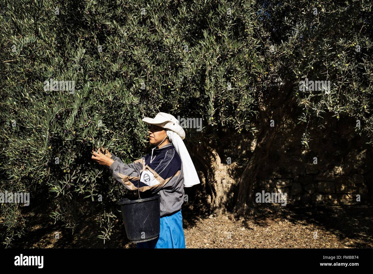 Israel, Palästina, West Bank (strittigen Gebiet), Dheisheh, Artas, Kloster unserer lieben Frau von Hortus Conclusus Stockfoto