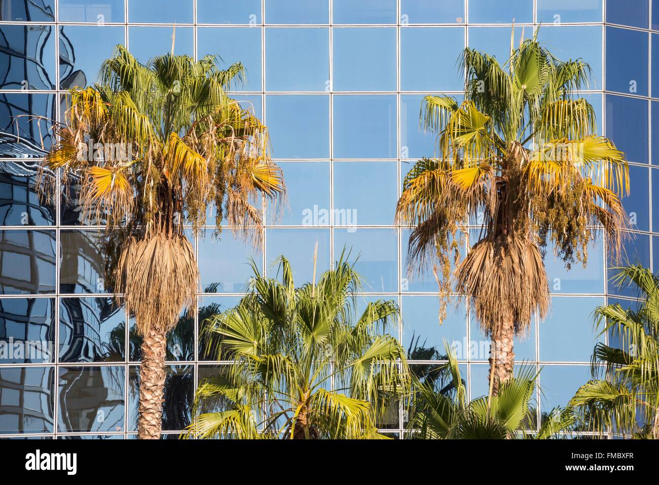 Frankreich, Alpes Maritimes, Nizza, Arenen Business Center, Palmen vor einem Gebäude Stockfoto