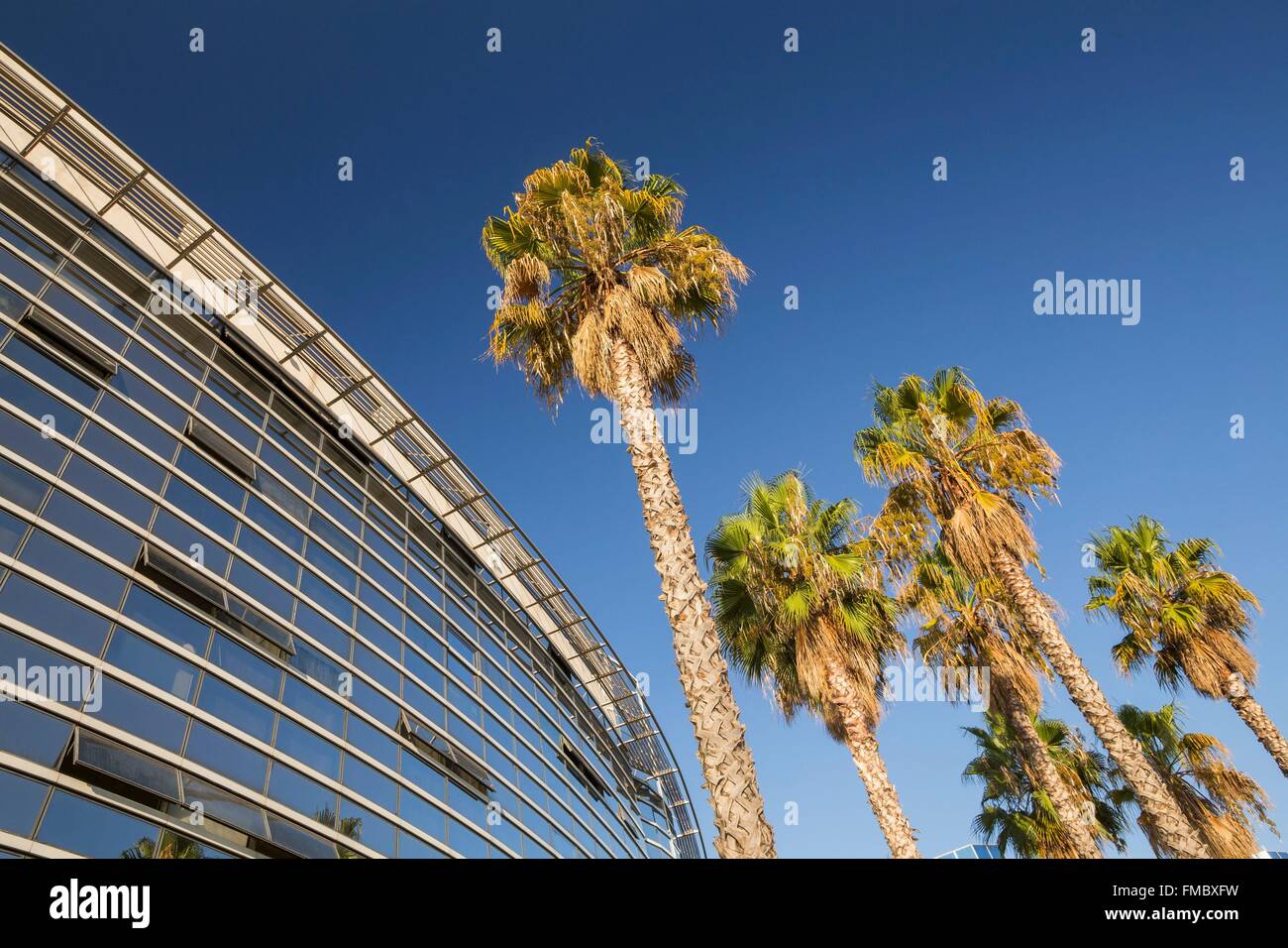 Frankreich, Alpes Maritimes, Nizza, Arenen Business Center, Palmen vor einem Gebäude Stockfoto