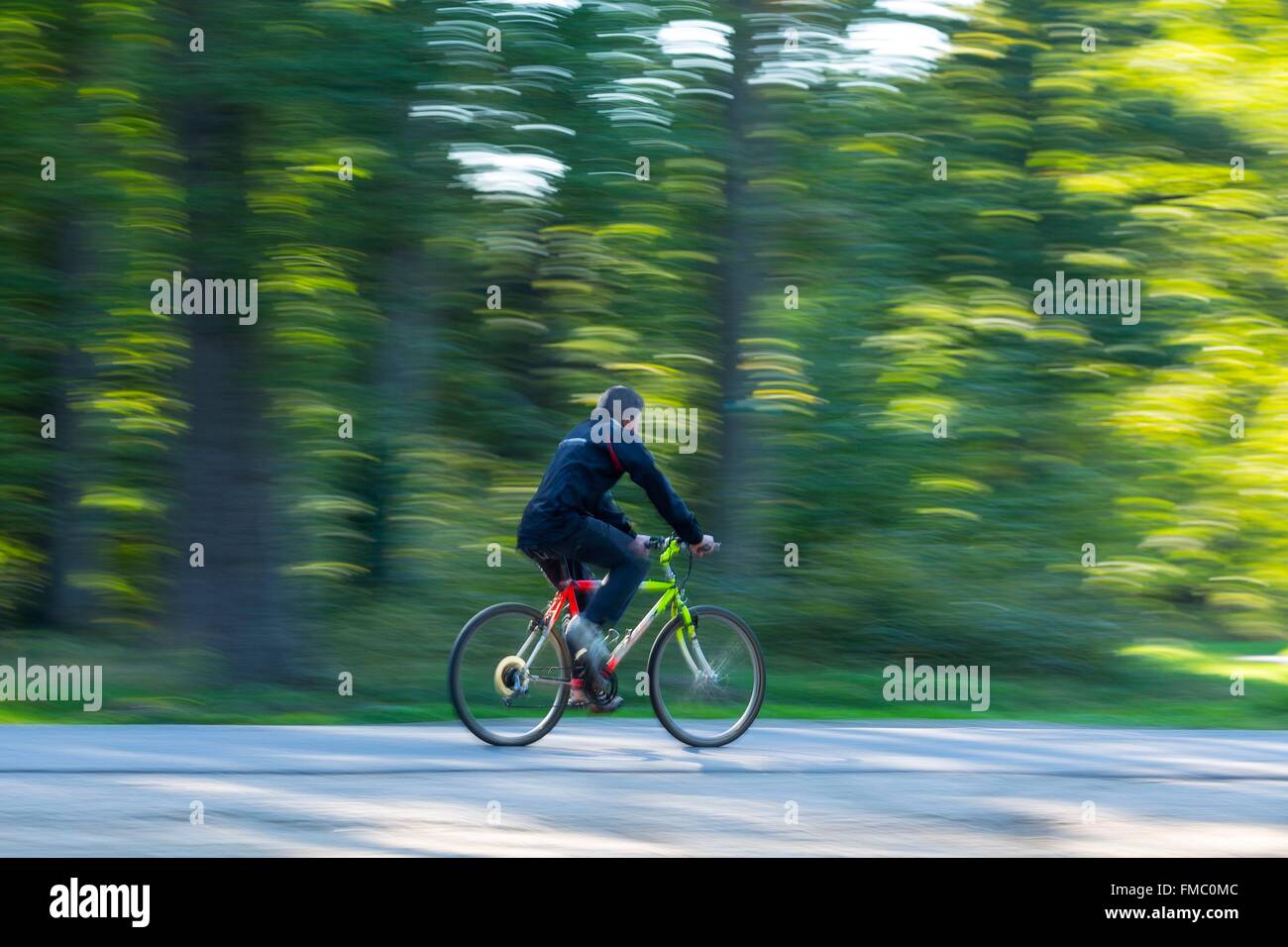 Yvelines, Frankreich Saint Nom la Bretèche, Radfahren im Wald von Marly Stockfoto