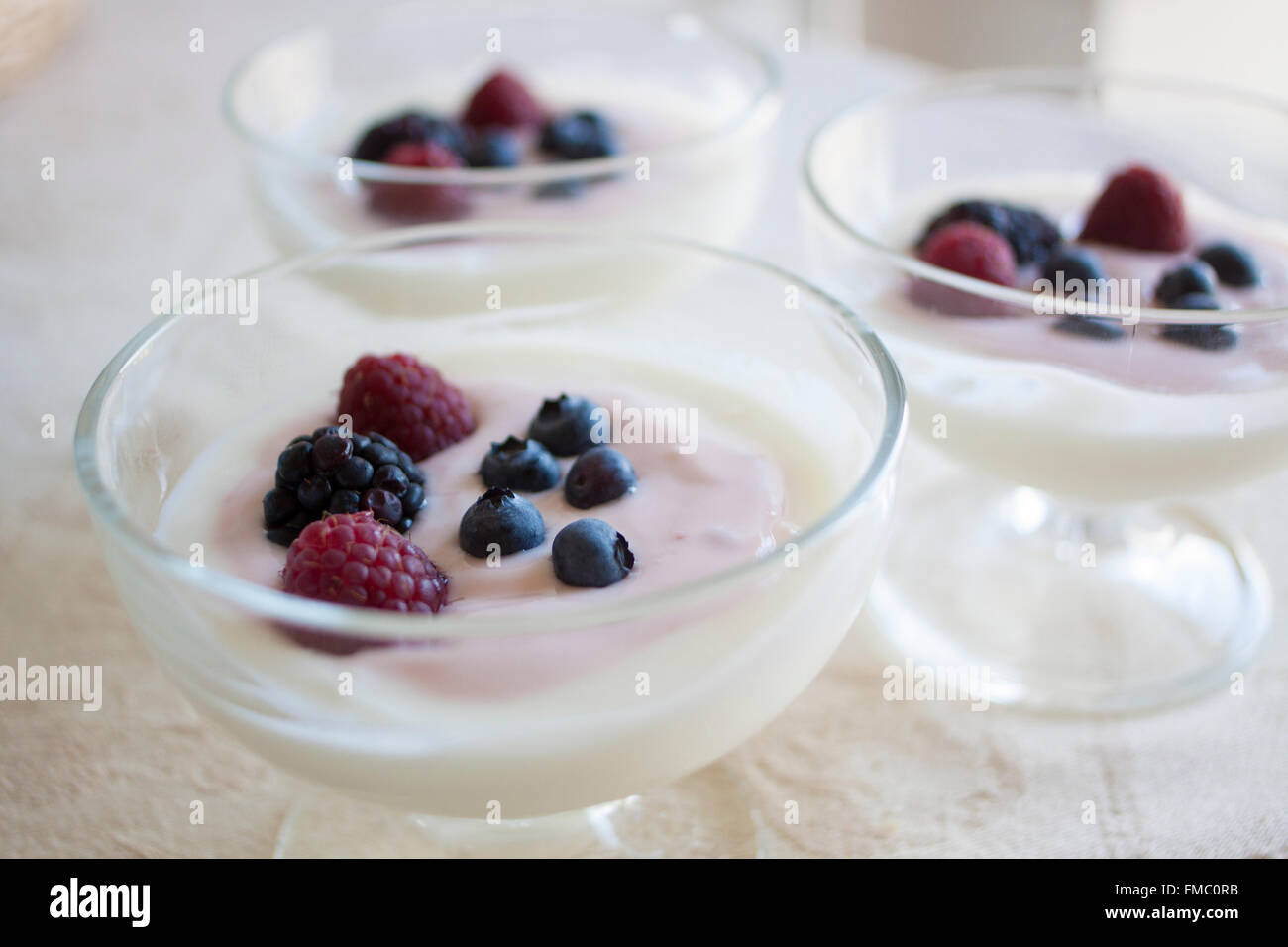 Joghurt-Dessert mit Heidelbeeren und Himbeeren Stockfoto