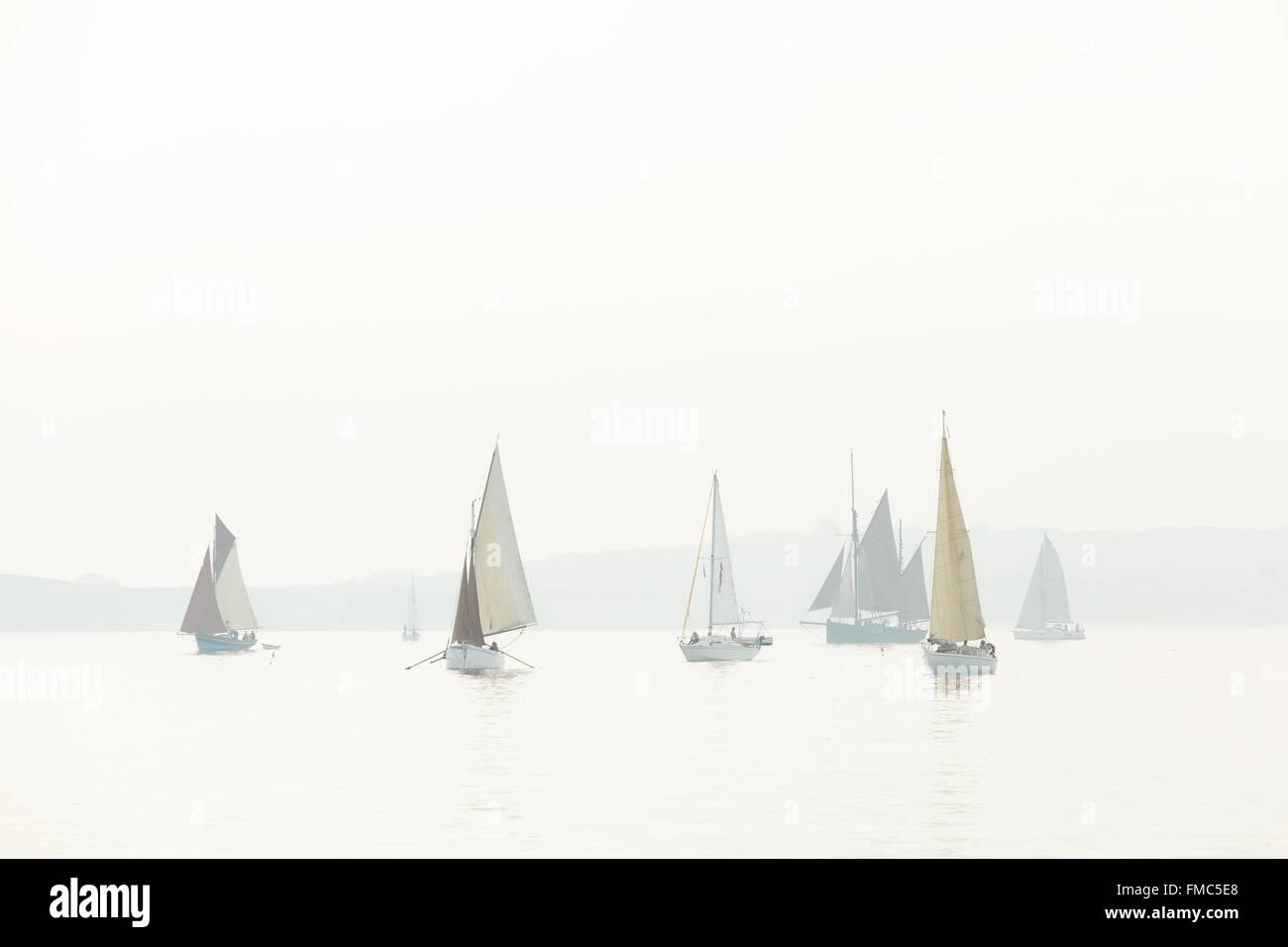 Frankreich, Finistere, Douarnenez, Segelboote kreuzen am Morgen Nebel Stockfoto