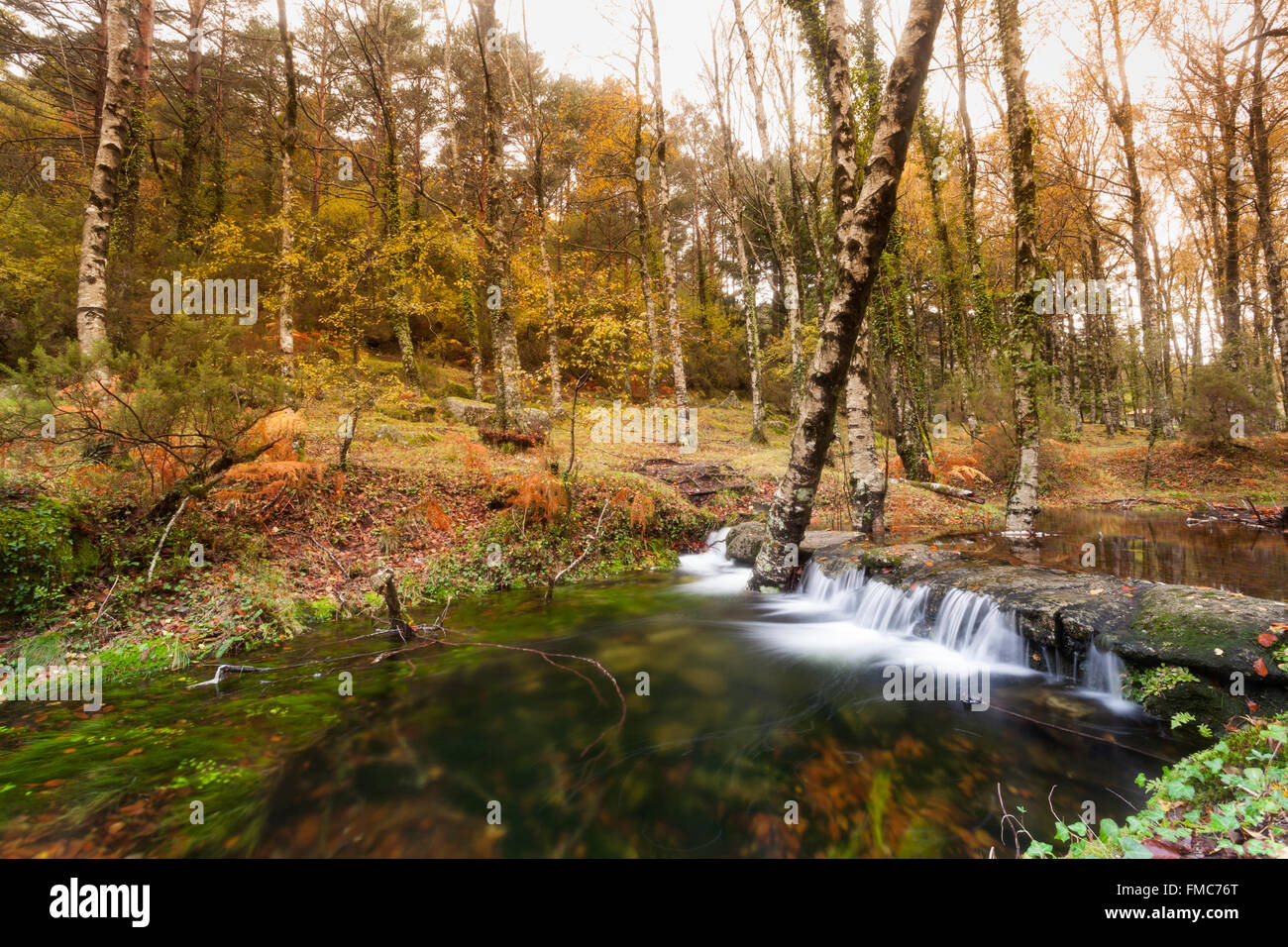 Fluss im Herbstsaison bei Geres Nationalpark, Portugal Stockfoto