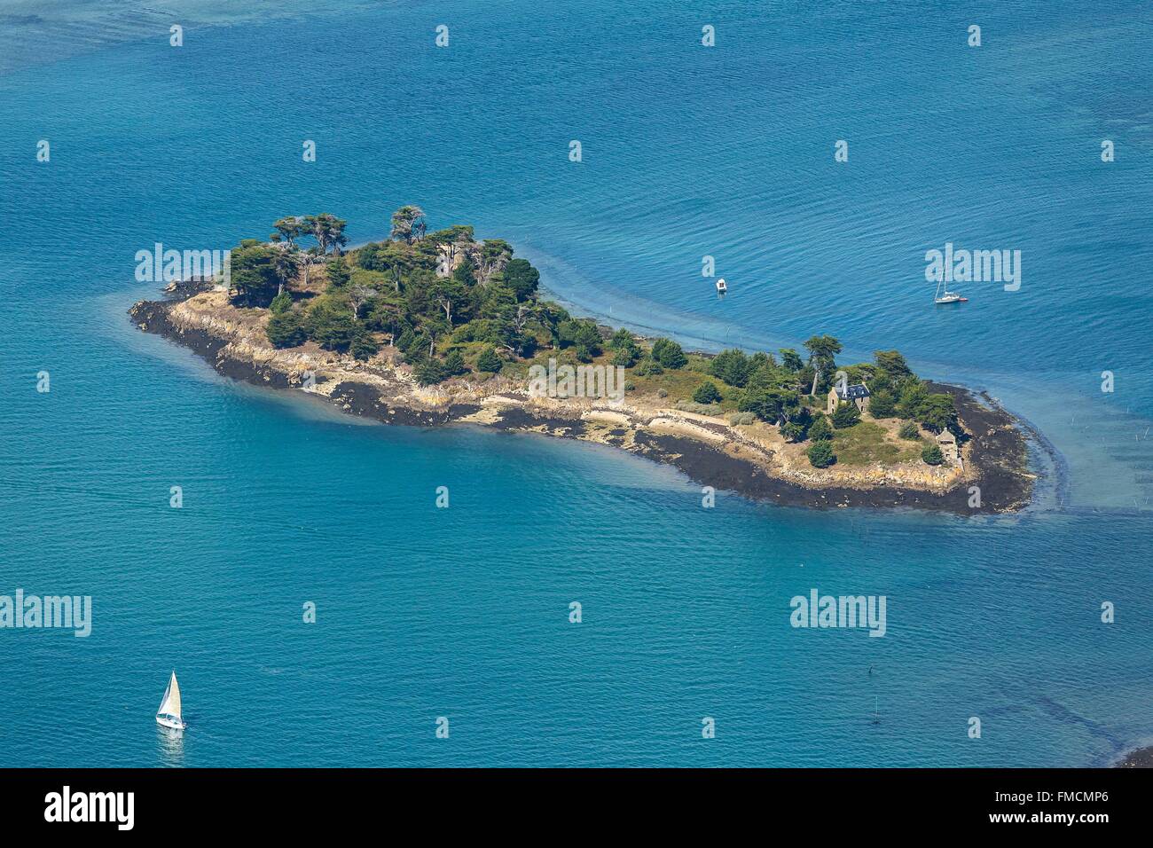 Frankreich, Morbihan, Golf von Morbihan, Grand Veizit Insel (Luftbild) Stockfoto