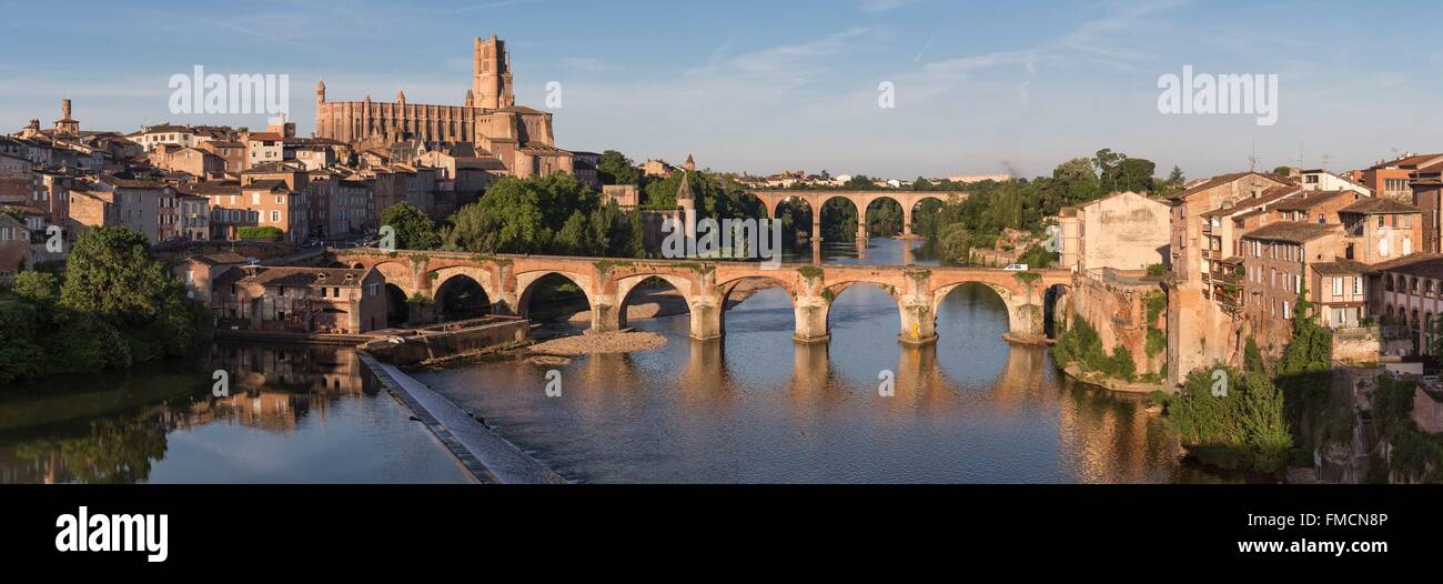 Frankreich, Tarn, Albi, der Bischofsstadt, aufgeführt als Weltkulturerbe von der UNESCO bis Sainte Cecile Kathedrale, die alte Brücke und Stockfoto
