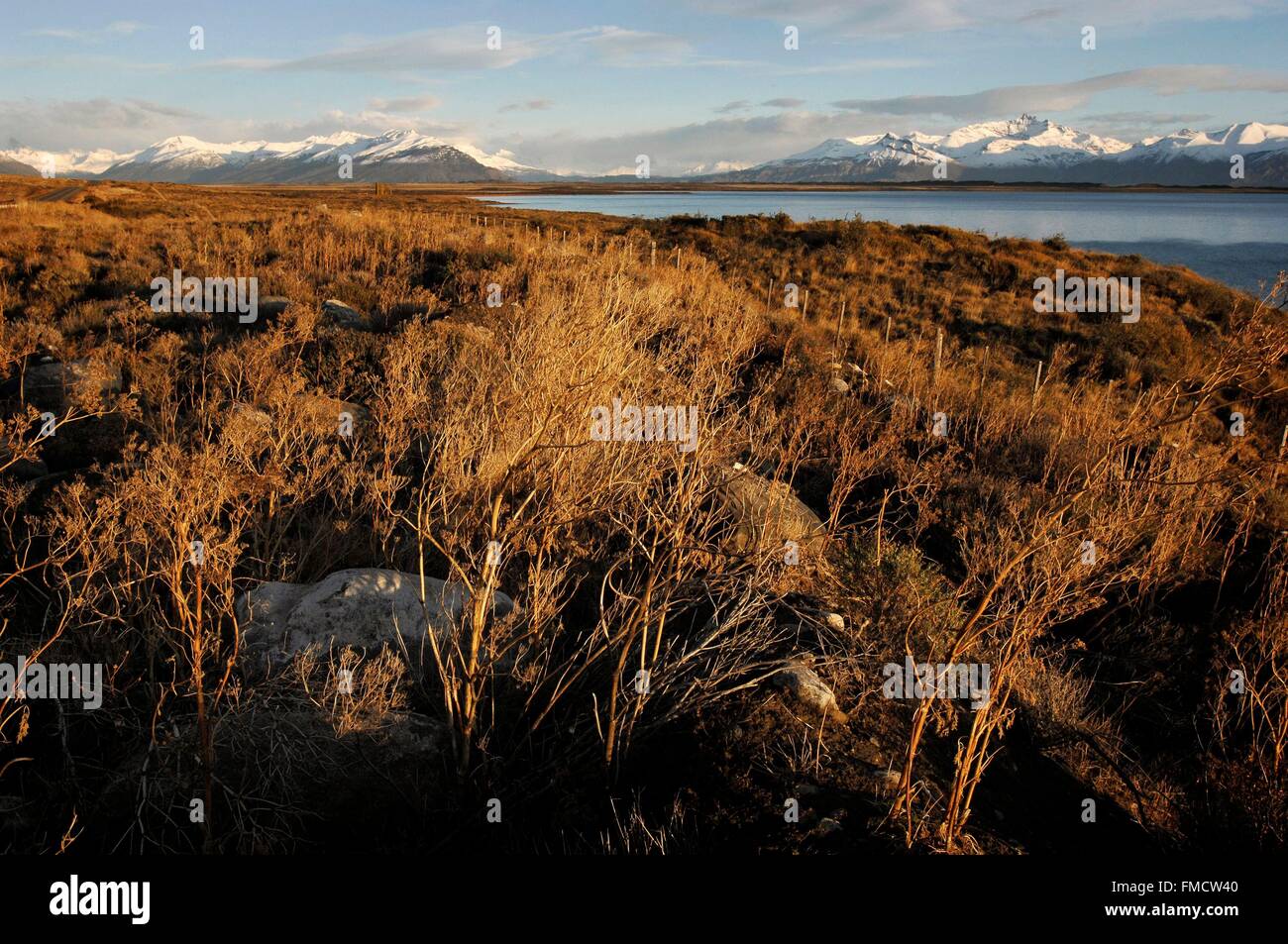 Argentinien, Patagonien, Provinz Santa Cruz, Parque Nacional Los Glaciares, neben dem Gletscher, in 1981 es war als Welt aufgeführt. Stockfoto