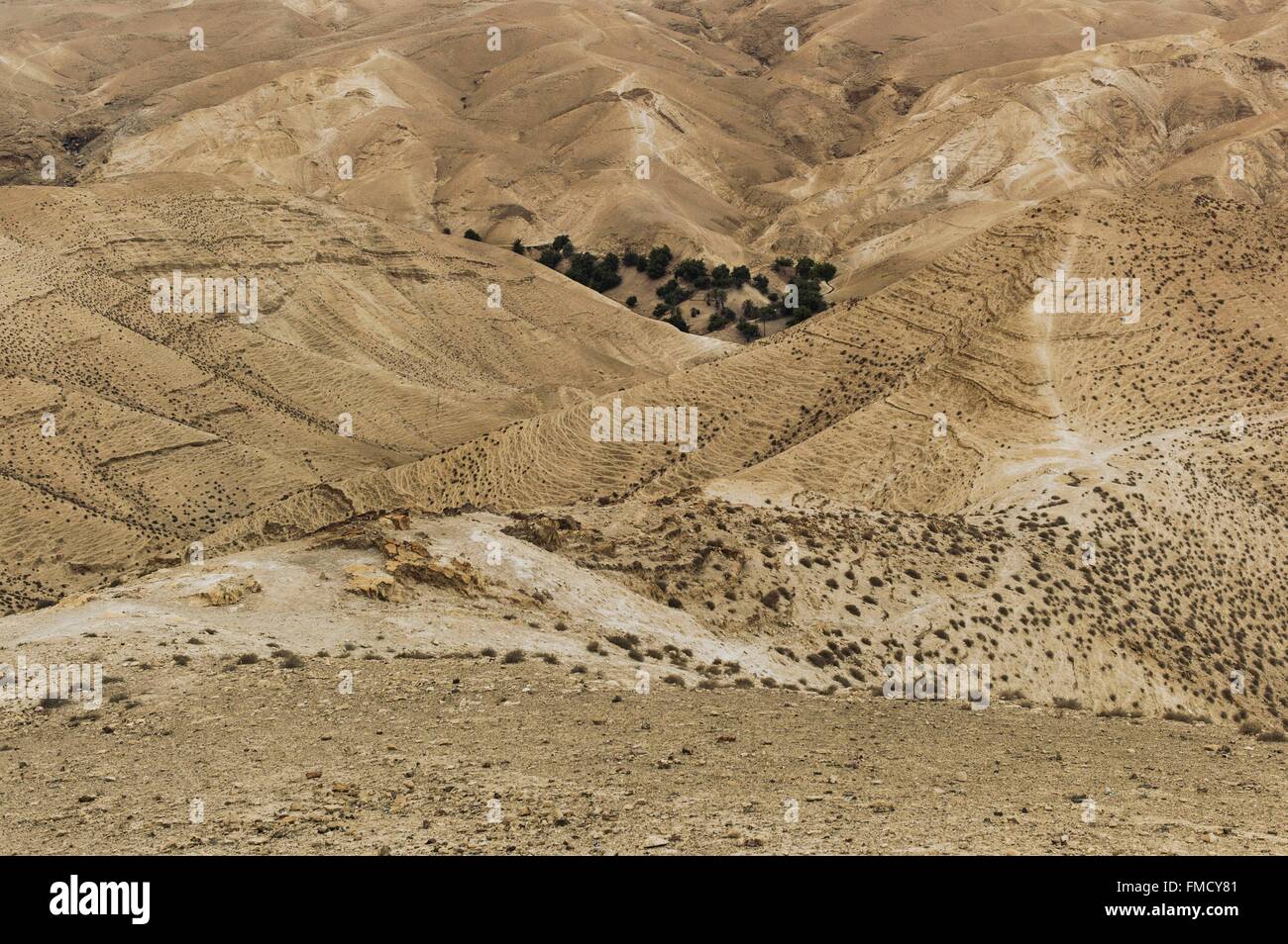 Israel, Palästina, das Westjordanland (strittigen Gebiet), Judas Wüste (Juda), Wadi Qelt Stockfoto