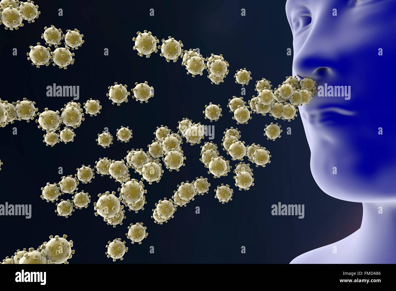 Infektion eines Menschen durch respiratorische Viren, Abbildung. Konzeptbild. Stockfoto