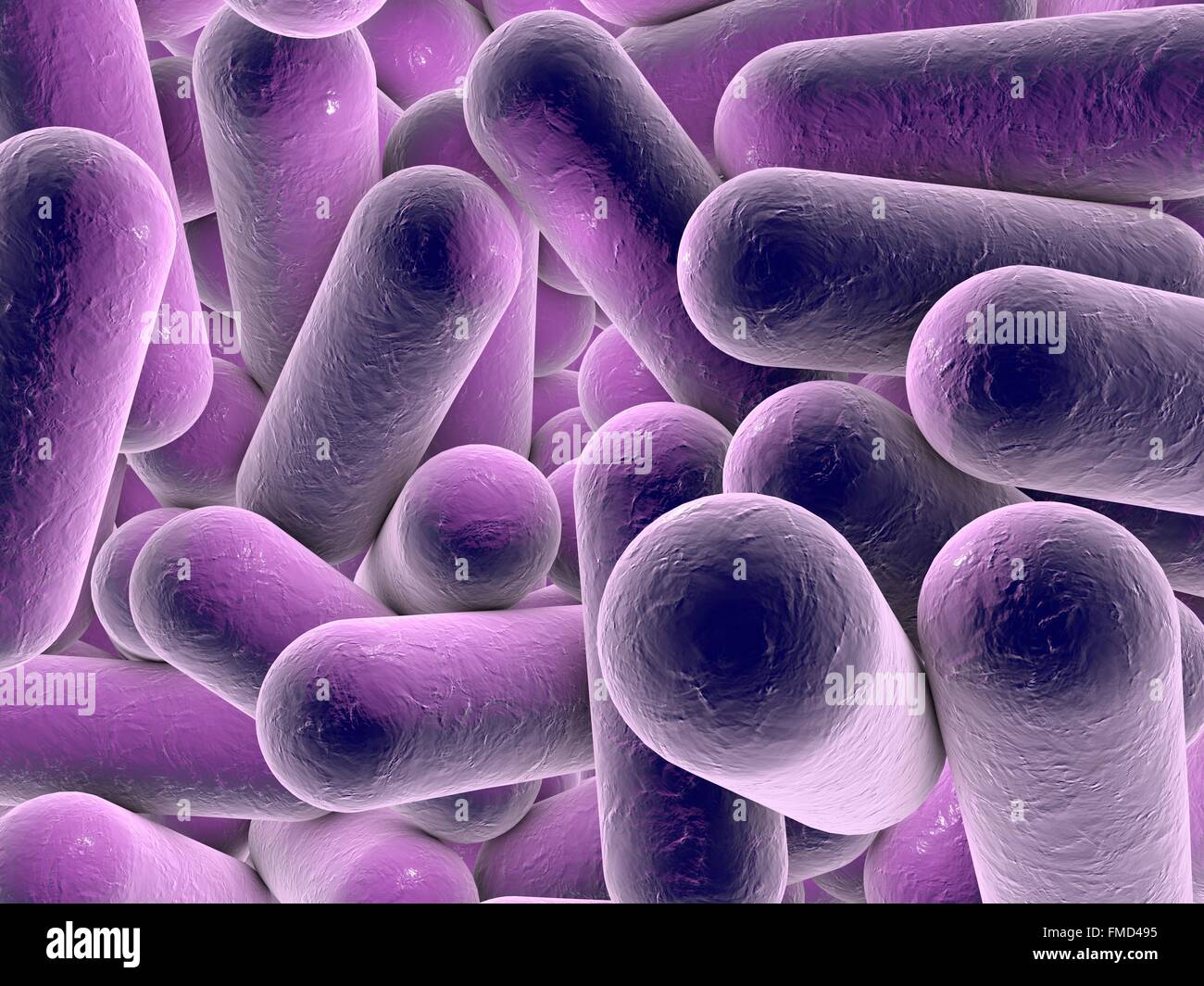 Illustration von stäbchenförmigen Bakterien. Stäbchenförmige Bakterien