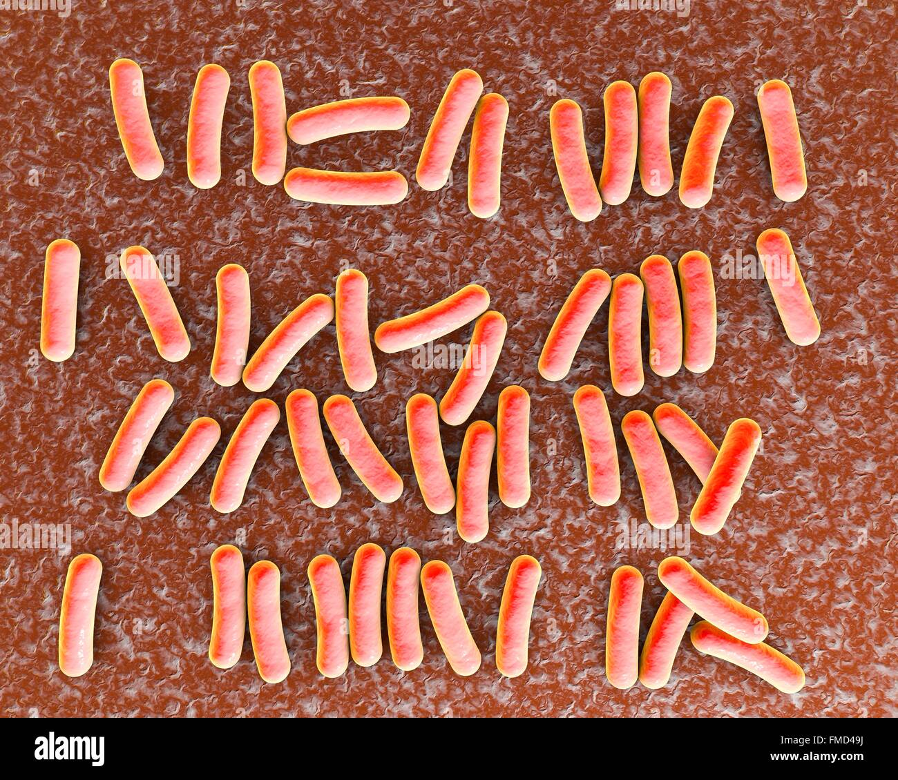 Nosokomiale pneumonie Fotos und Bildmaterial in hoher Auflösung Alamy