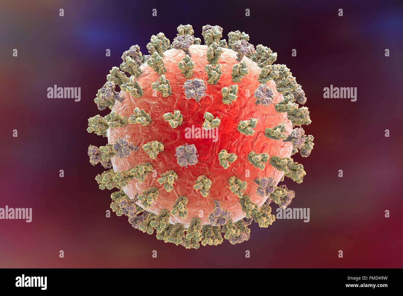 Schweinegrippe-Virus H1N1 Illustration zeigt Influenza-Virus mit Oberfläche Glykoprotein spikes Hämagglutinin (HA, Trimer) und Neuraminidase (NA, Tetramer). Hämagglutinin beteiligt sich an Anlage eines Virus an menschliche Zellen der Atemwege und Neuraminidase an eine Freisetzung des Virus aus einer Zelle. Stockfoto