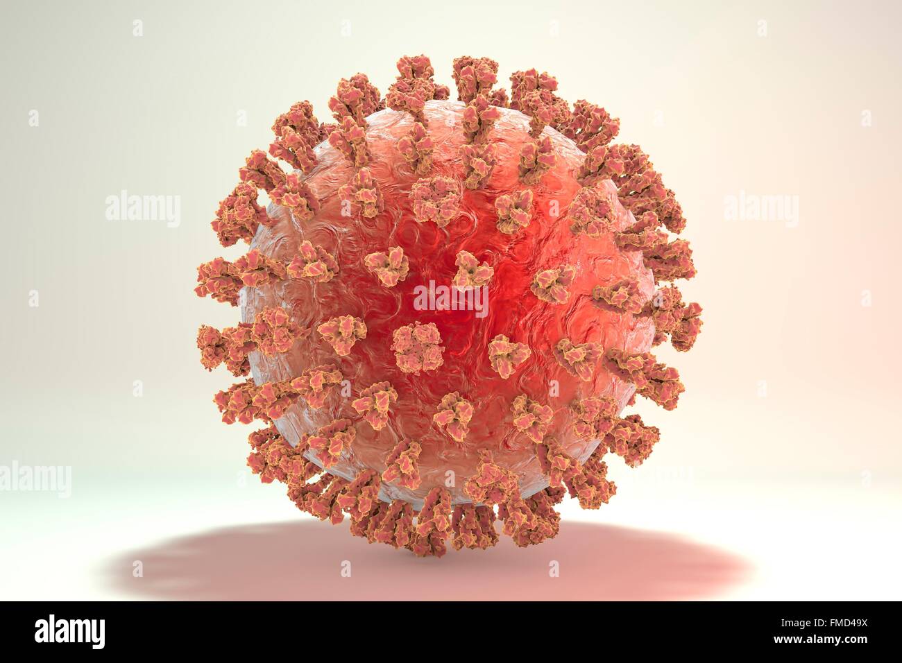 Schweinegrippe-Virus H1N1 Illustration zeigt Influenza-Virus mit Oberfläche Glykoprotein spikes Hämagglutinin (HA, Trimer) und Neuraminidase (NA, Tetramer). Hämagglutinin beteiligt sich an Anlage eines Virus an menschliche Zellen der Atemwege und Neuraminidase an eine Freisetzung des Virus aus einer Zelle. Stockfoto
