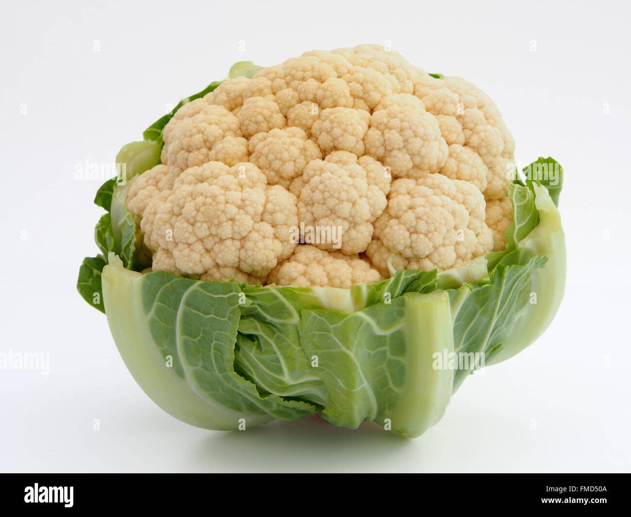 Bild von einem Blumenkohl, Studio gedreht isoliert auf einem weißen Hintergrund. Stockfoto
