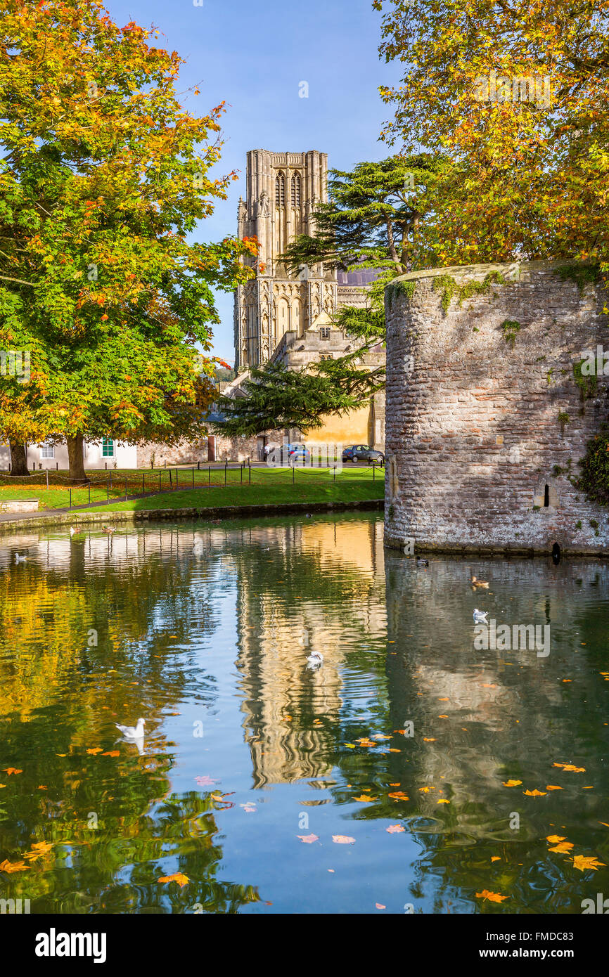 Wassergraben umgibt den Bischofspalast in Brunnen mit Kathedrale im Hintergrund, Somerset, England, Vereinigtes Königreich, Europa. Stockfoto