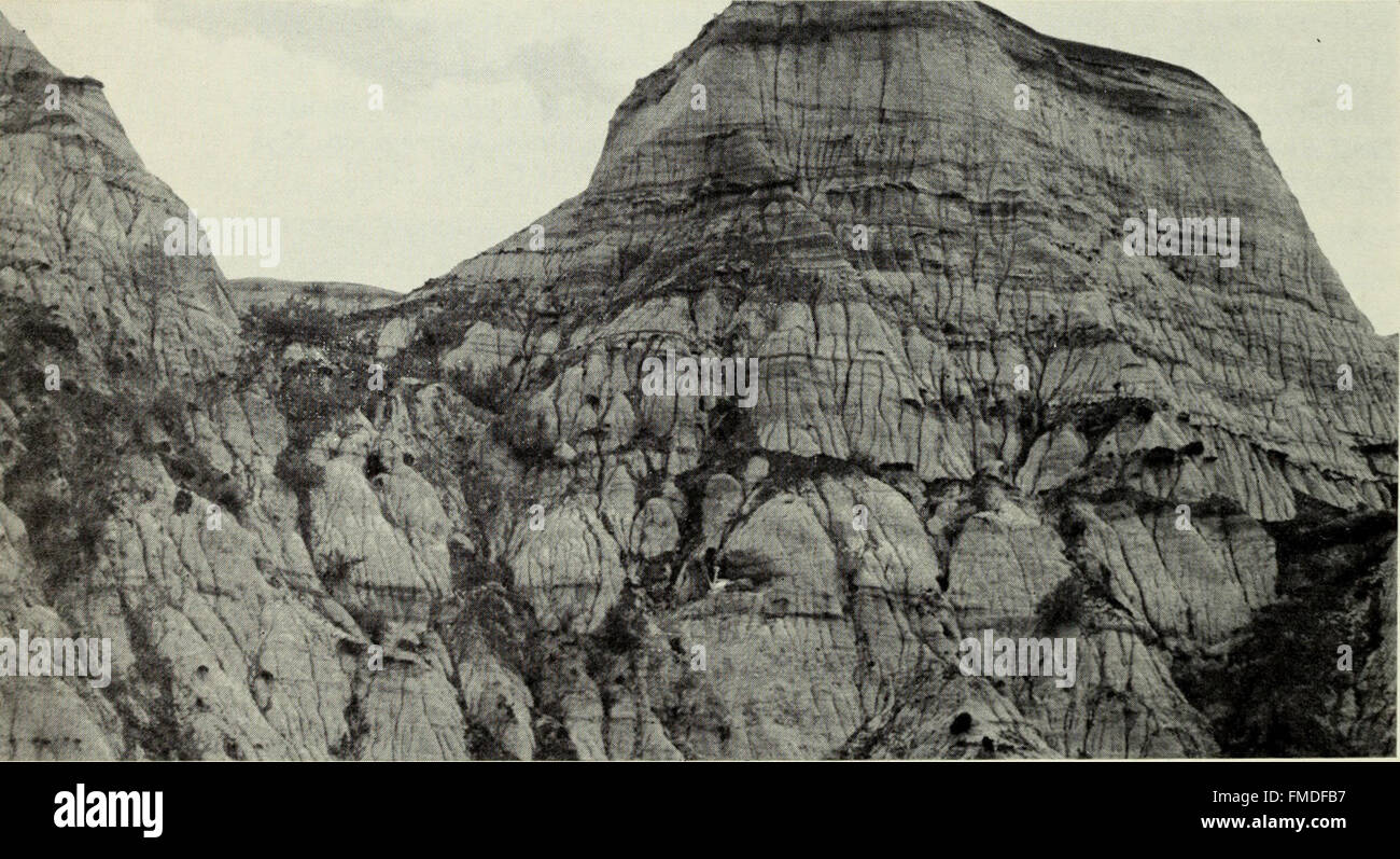 Dinosaurierjagd in Western Canada (1966) erforscht die fossilienreichen Regionen Kanadas und beschreibt paläontologische Expeditionen und Entdeckungen, die auf der Suche nach Dinosaurierfossilien in den westlichen Provinzen gemacht wurden. Stockfoto