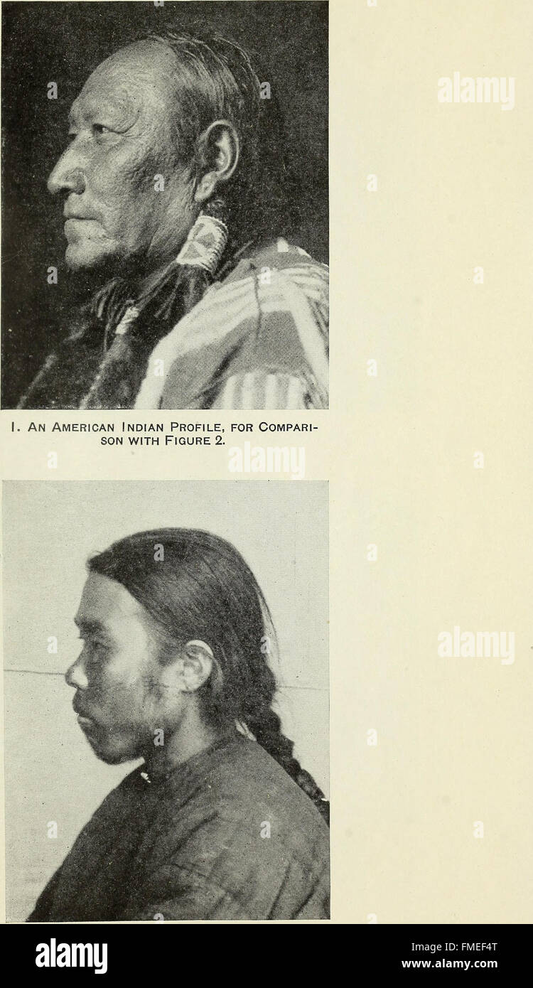 Über die Rasse Geschichte und Gesichtsbehandlung Merkmale der amerikanischen Ureinwohner (1921) Stockfoto
