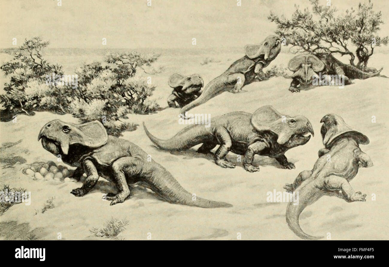 Das Dinosaurier-Buch - die regierende Reptilien und deren Angehörige (1945) Stockfoto