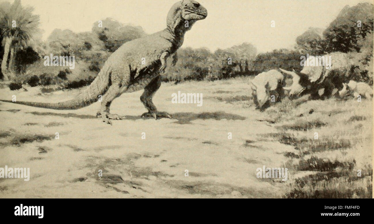 Das Dinosaurier-Buch - die regierende Reptilien und deren Angehörige (1945) Stockfoto