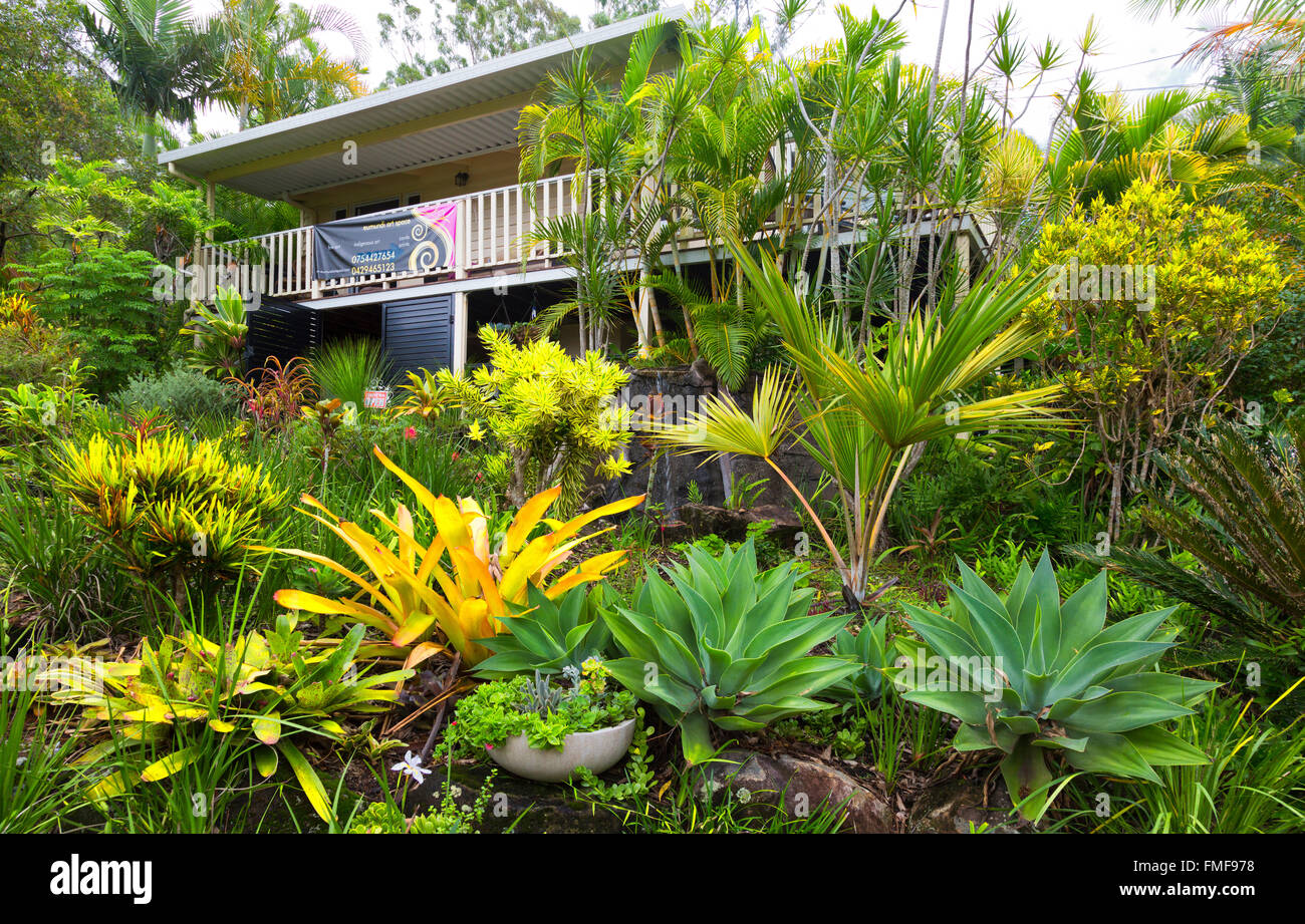 Tropischen Garten in einer Kunstgalerie in Eumundi, Queensland, Australien,  mit tropischen Pflanzen, Bromelien, Palmen, Sukkulenten, Kakteen  Stockfotografie - Alamy